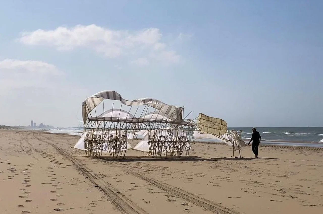 establish，diy，Flying aircraft，STRANDBEESTS，