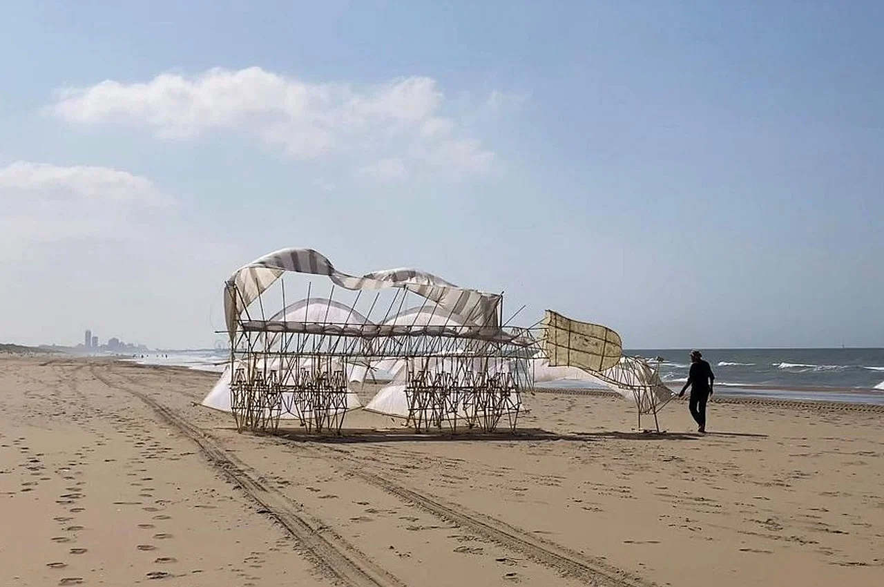 创建，diy，飞行机，STRANDBEESTS，