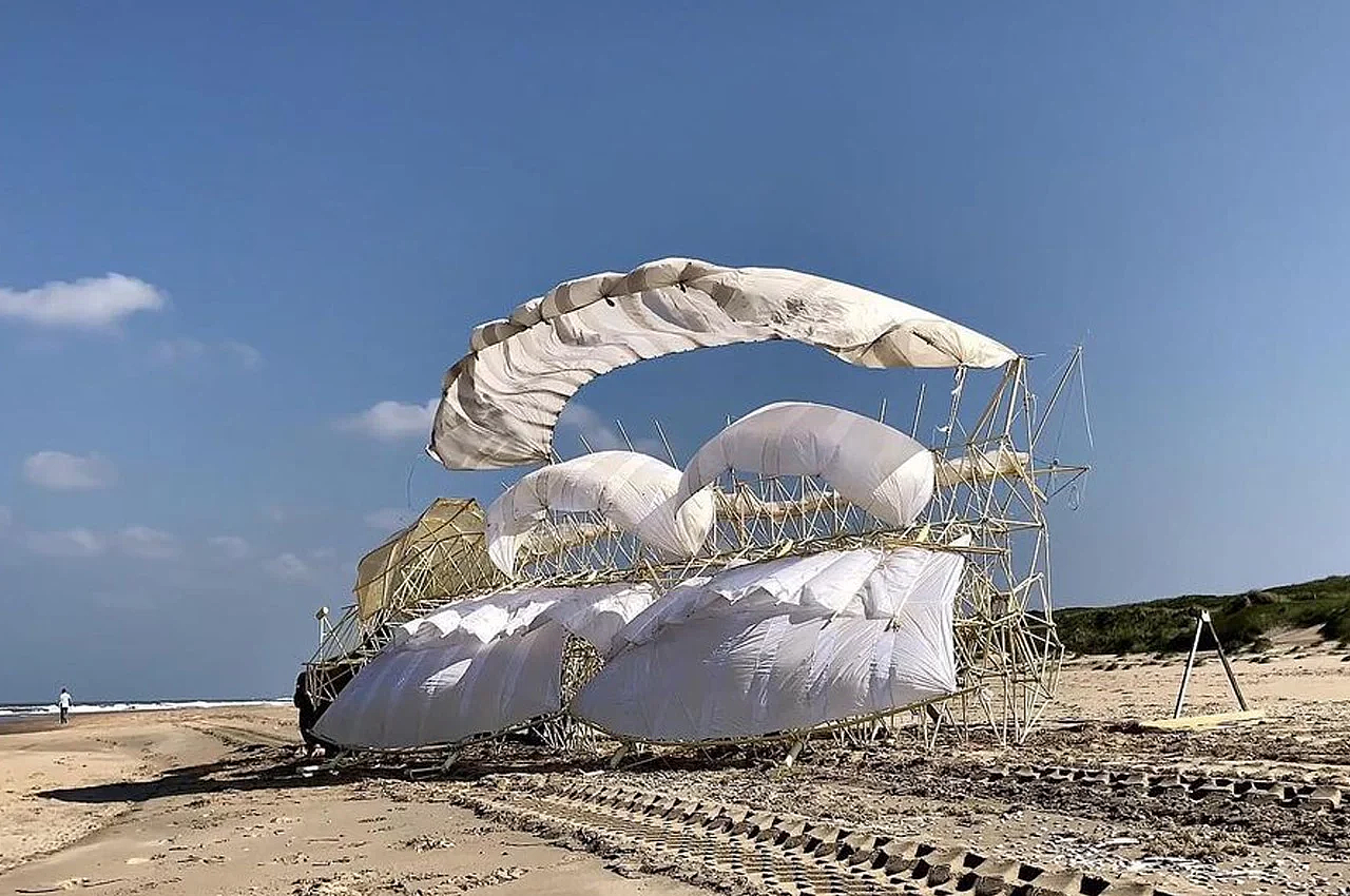 创建，diy，飞行机，STRANDBEESTS，