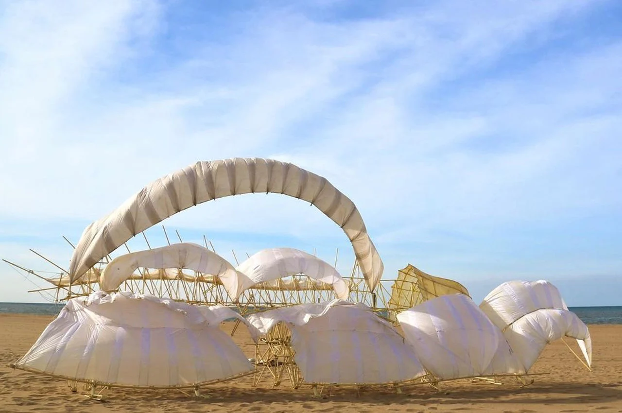 establish，diy，Flying aircraft，STRANDBEESTS，