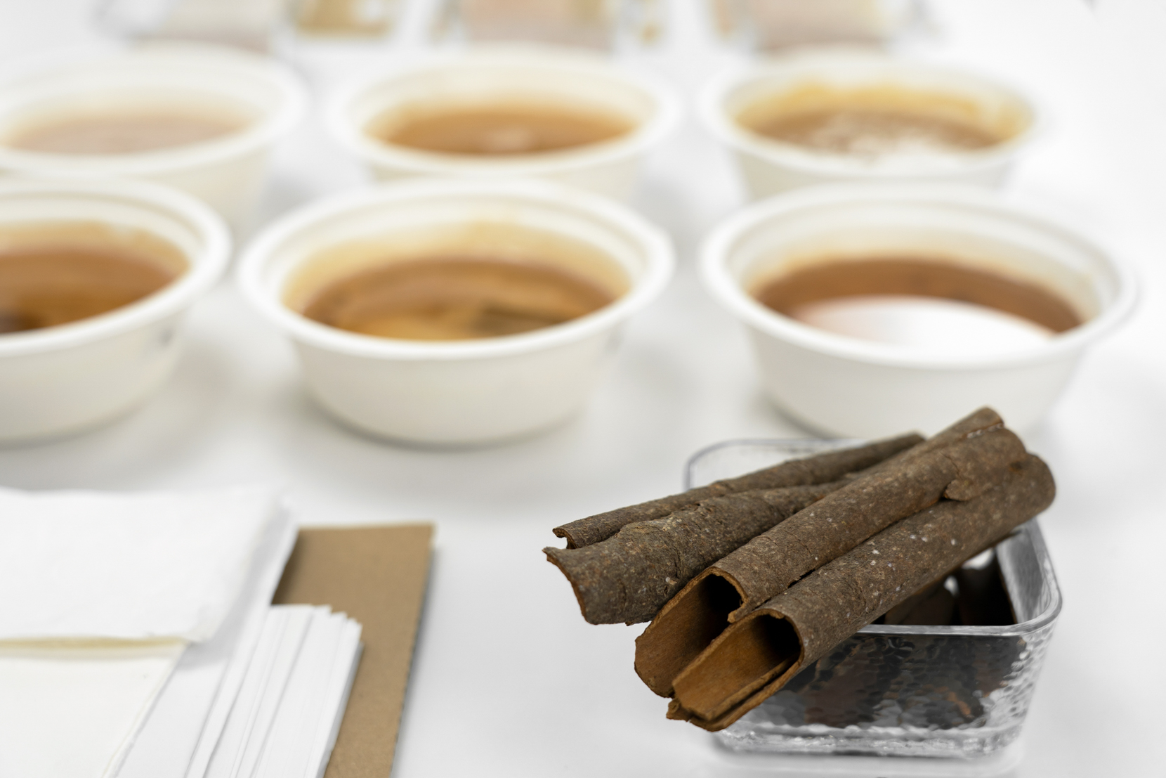 pulp，Traditional craft，Plant dye，Cinnamon，Environmental protection materials，Gradual change，