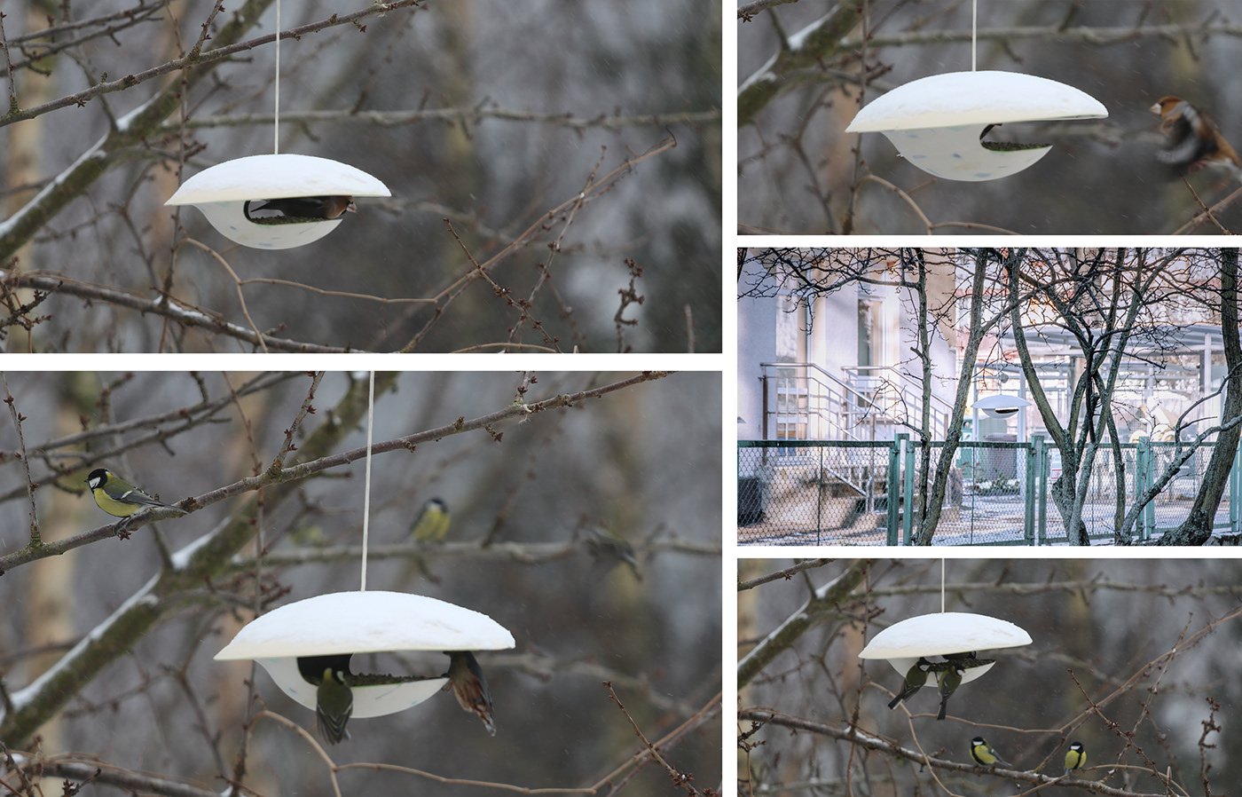 Feeder，ceramics，Bird feeder SÓJKA，