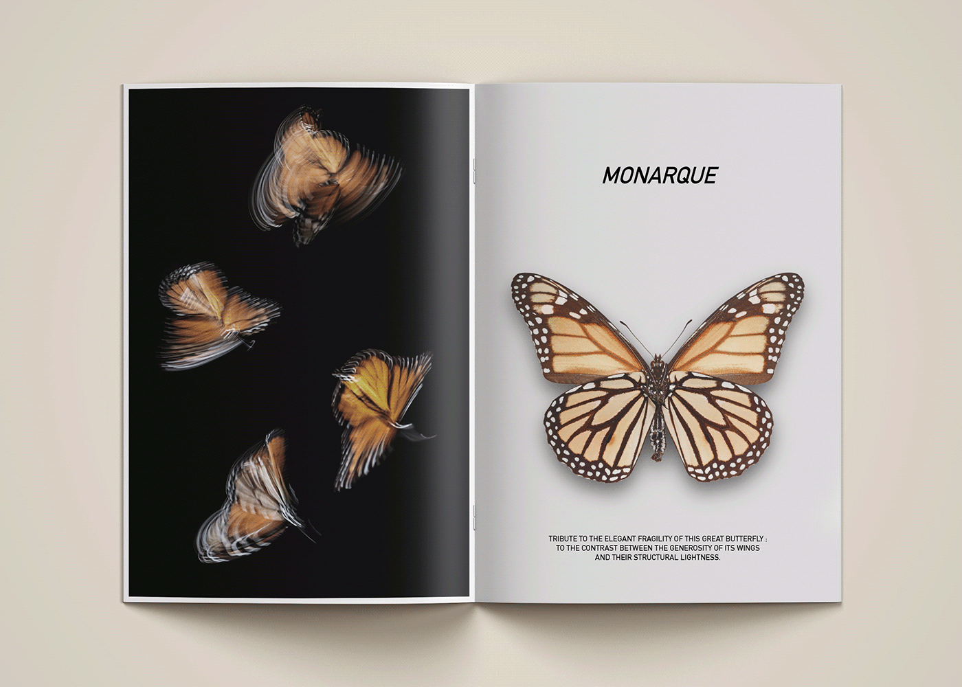 Door handle design，butterfly，Monarch products，Gold，