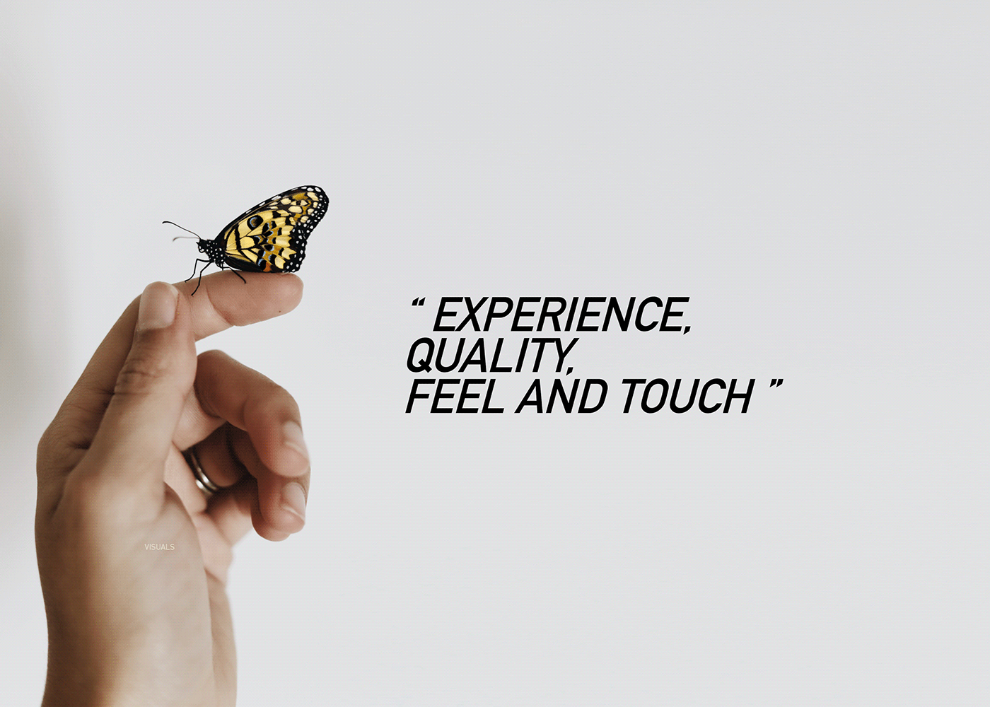 Door handle design，butterfly，Monarch products，Gold，