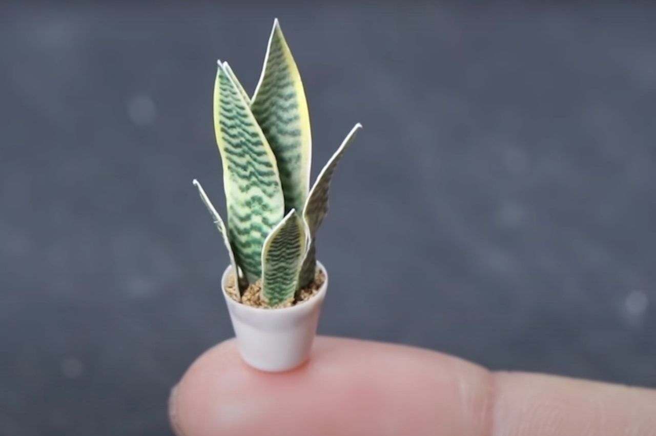 books，miniature，Artwork，Small Canned Art，