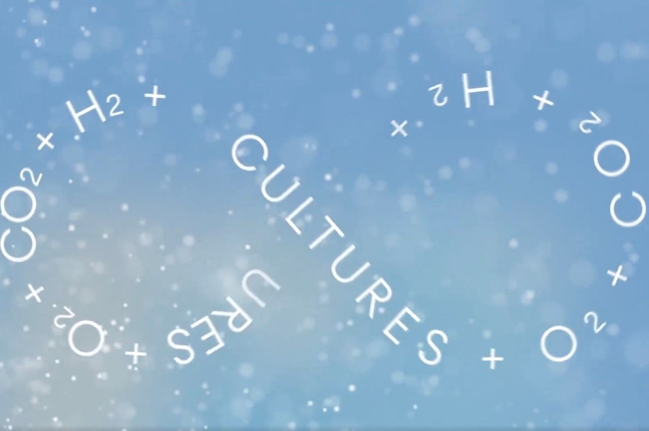 New technology，originality，meat，