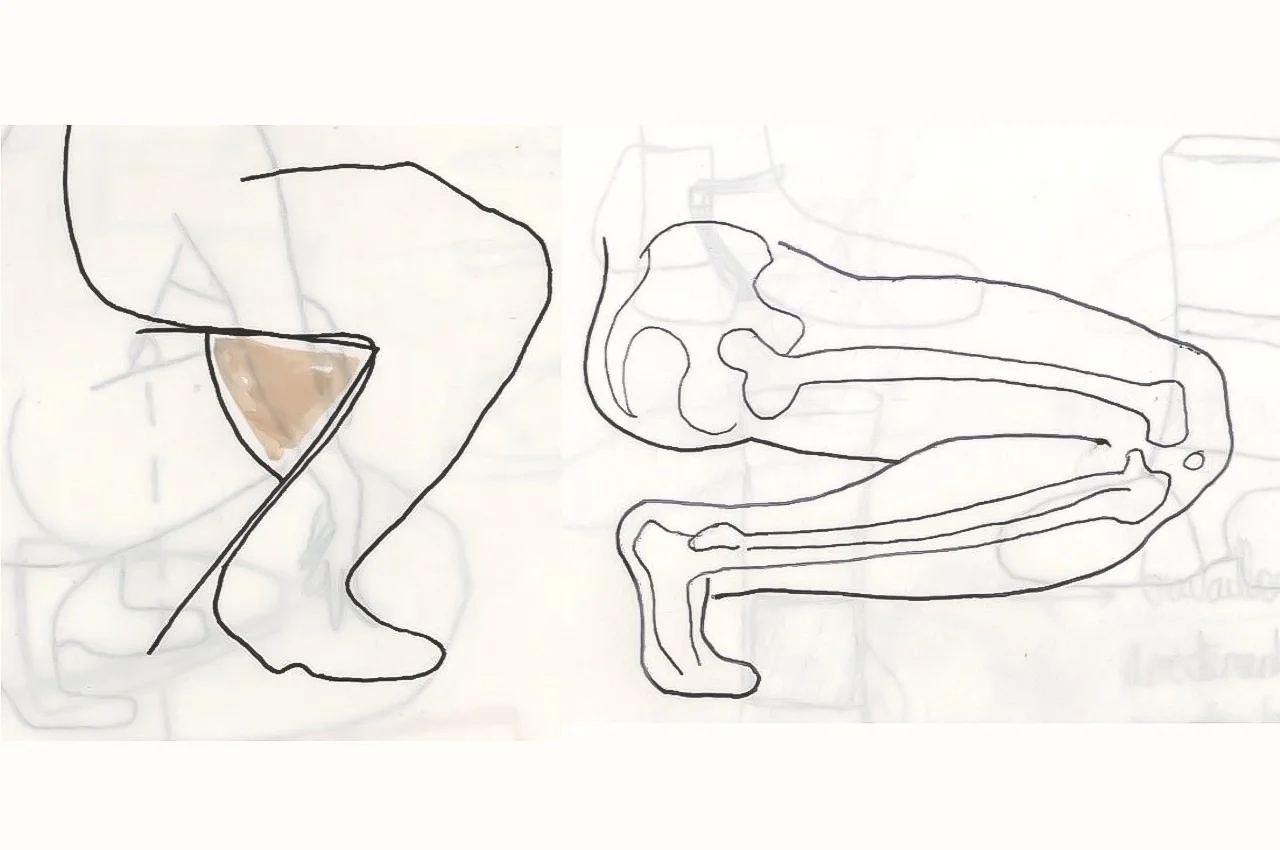 Wearable ，chair，WEARABLE SEATING，