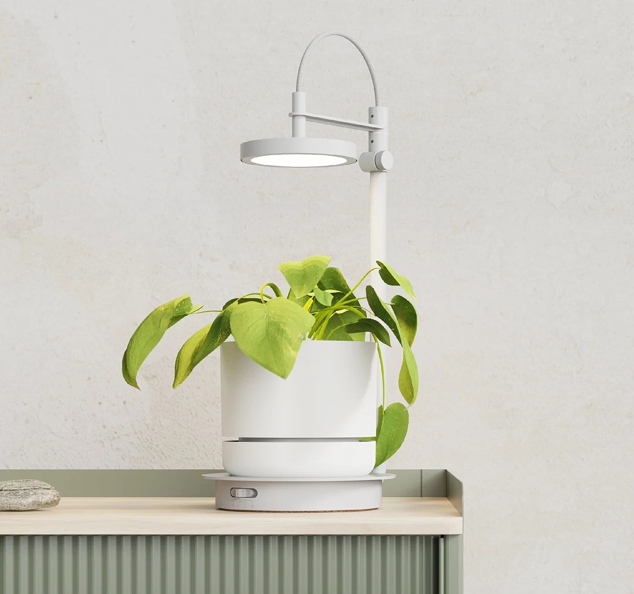 灯，lamp，植物，led，室内绿植，照明灯，
