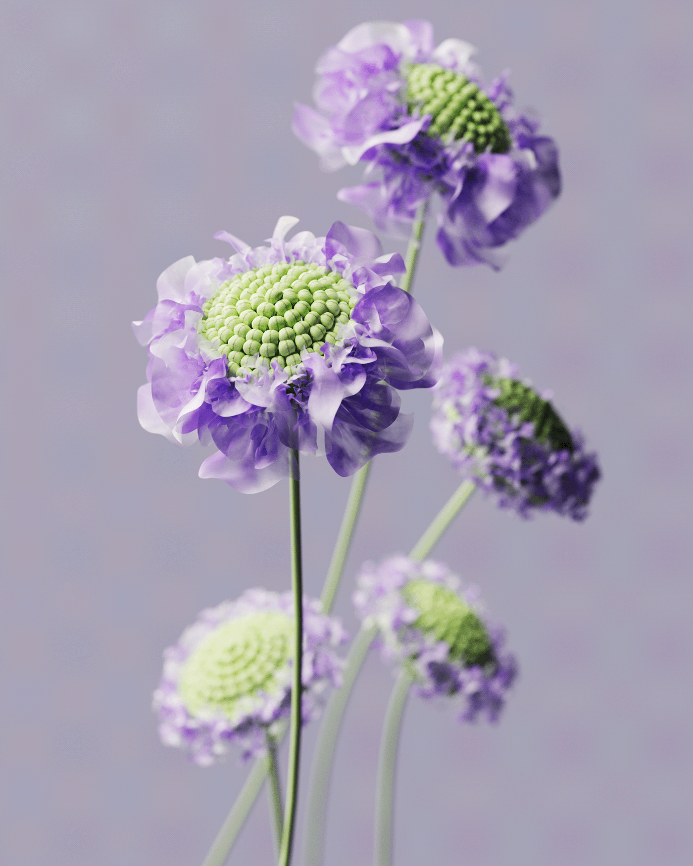 Art，Art，artwork，cg，cgi，Digital art，Modeling and rendering，design sketch，