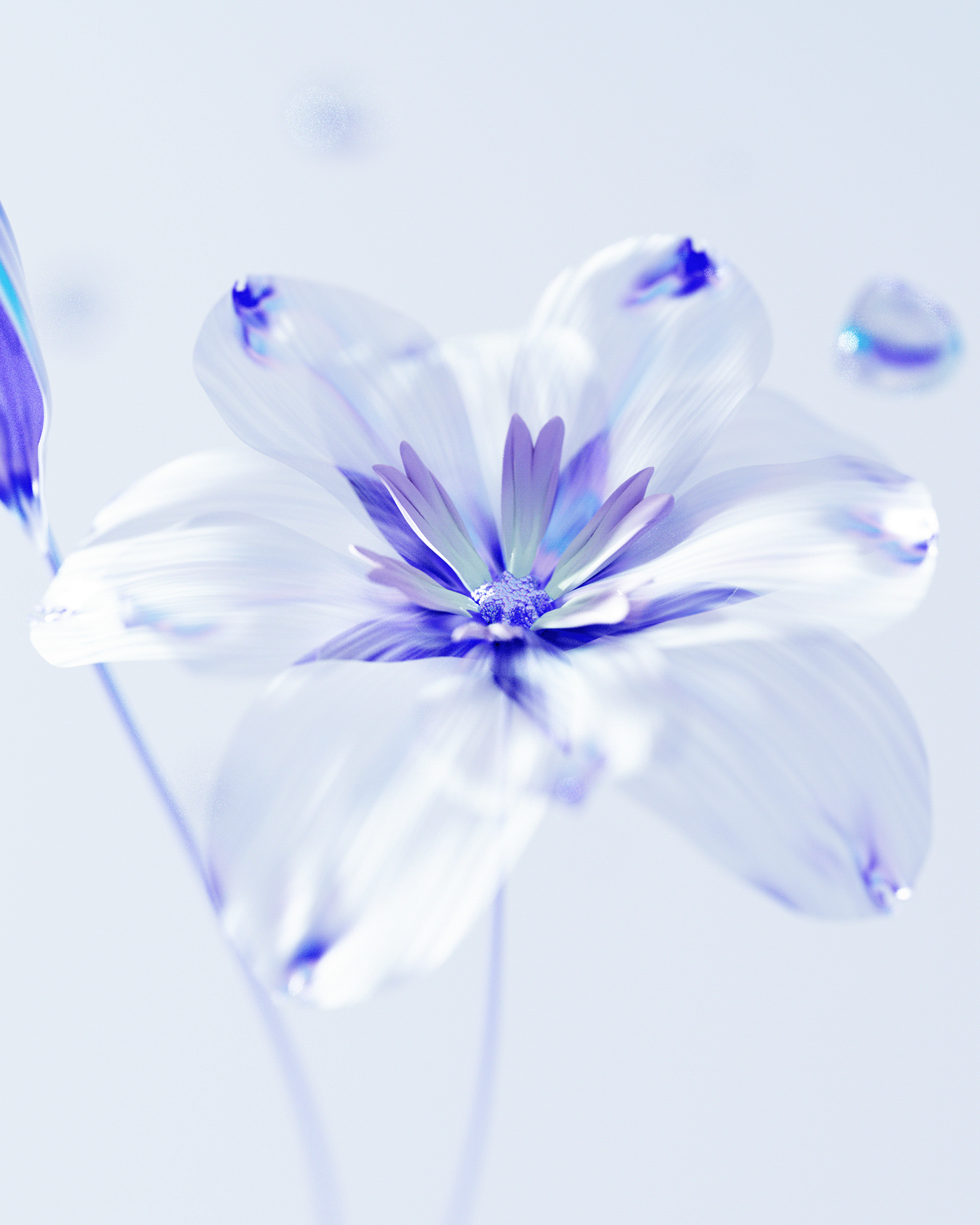 Art，Art，artwork，cg，cgi，Digital art，Modeling and rendering，design sketch，