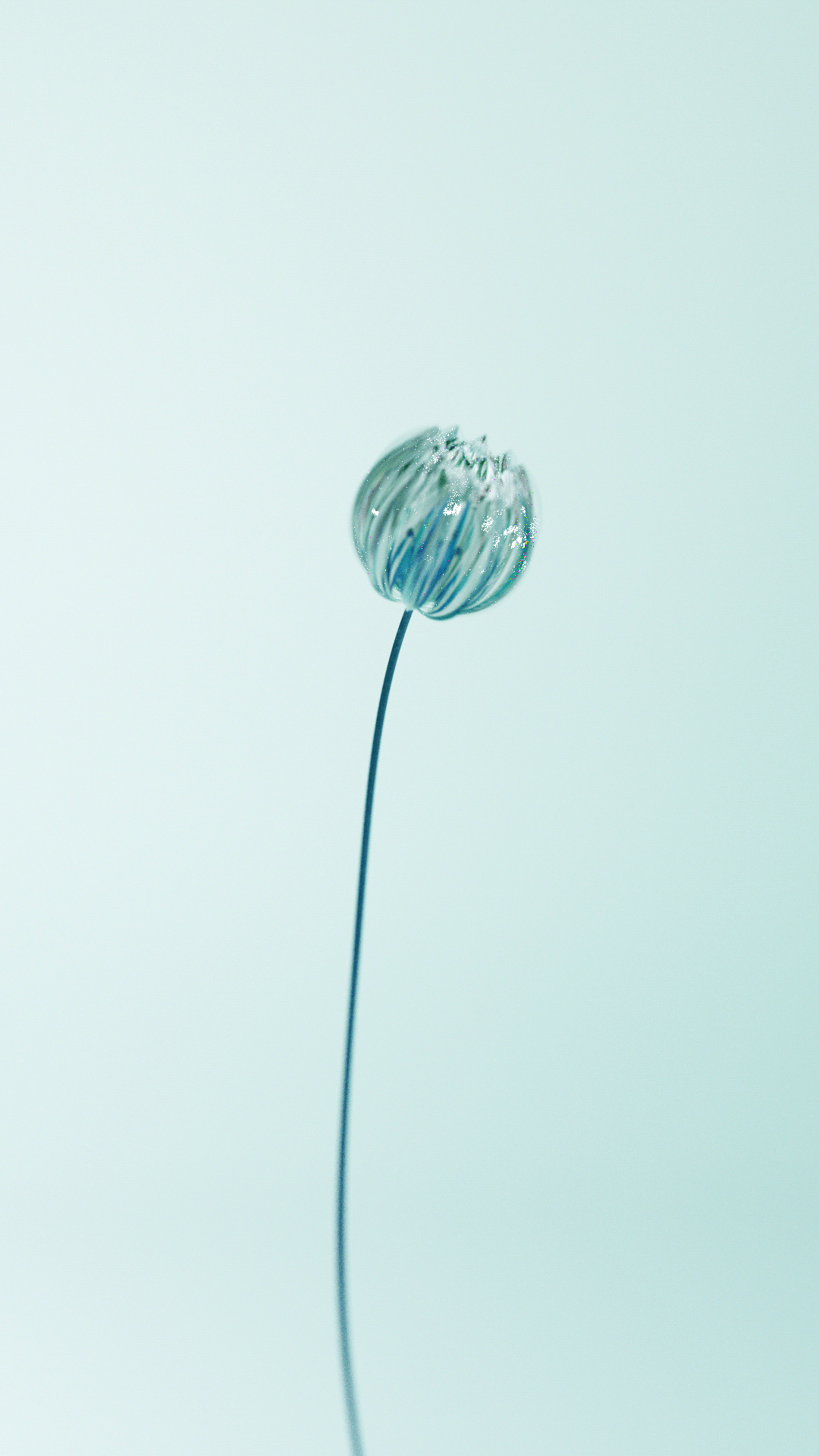 Art，Art，artwork，cg，cgi，Digital art，Modeling and rendering，design sketch，