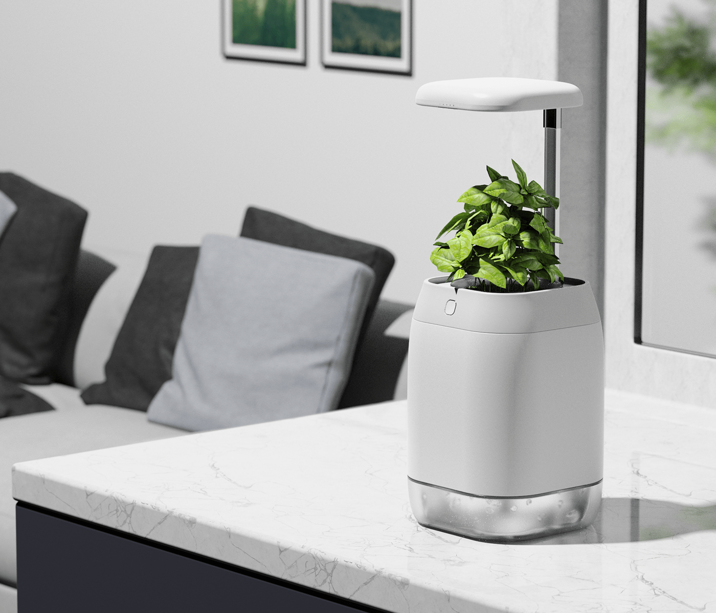 vase，intelligence，medical care，Botany，Dementia，