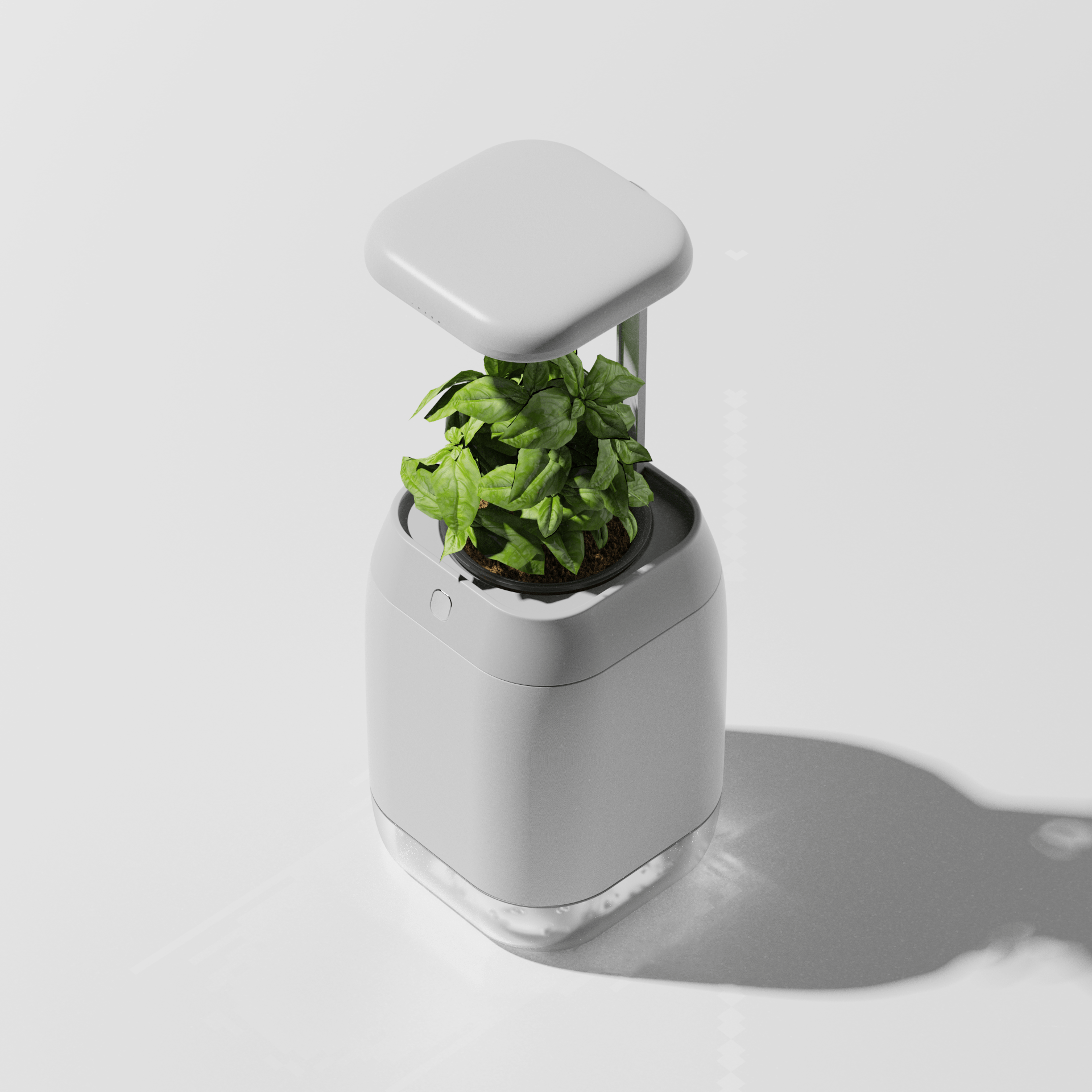 vase，intelligence，medical care，Botany，Dementia，