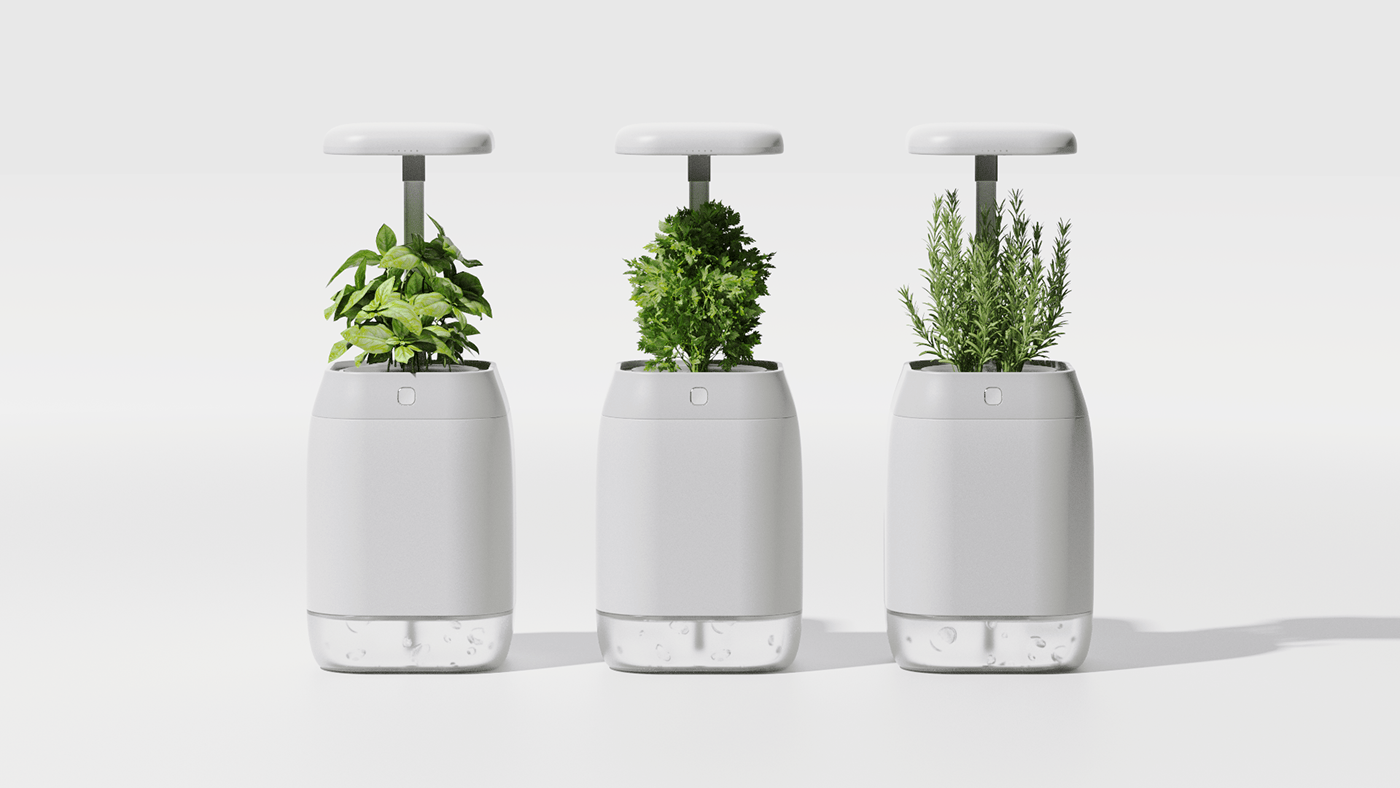 vase，intelligence，medical care，Botany，Dementia，