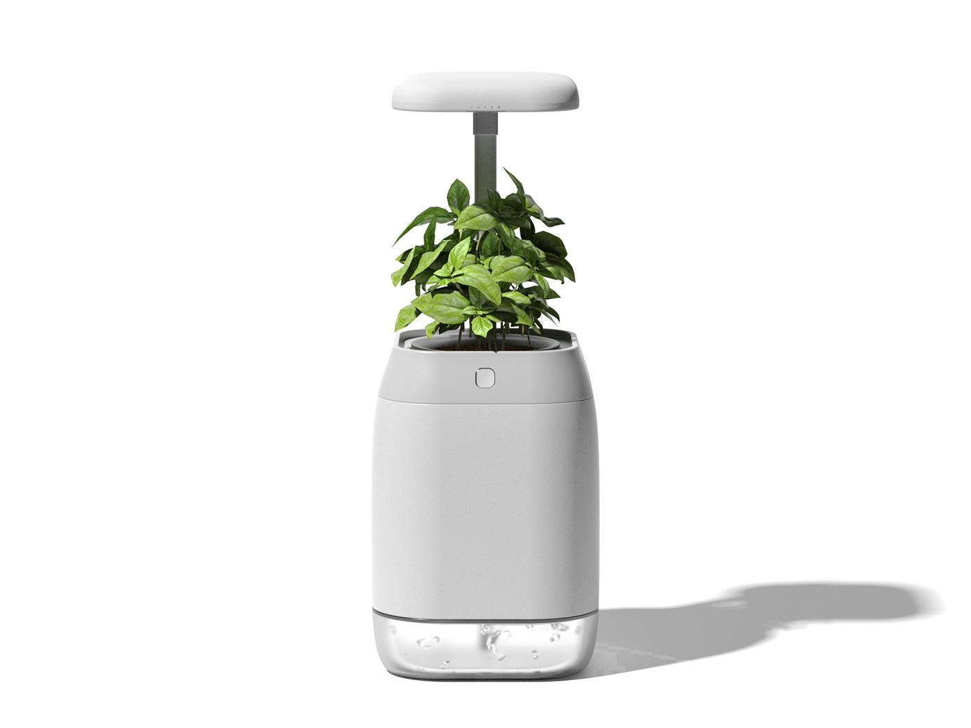 vase，intelligence，medical care，Botany，Dementia，