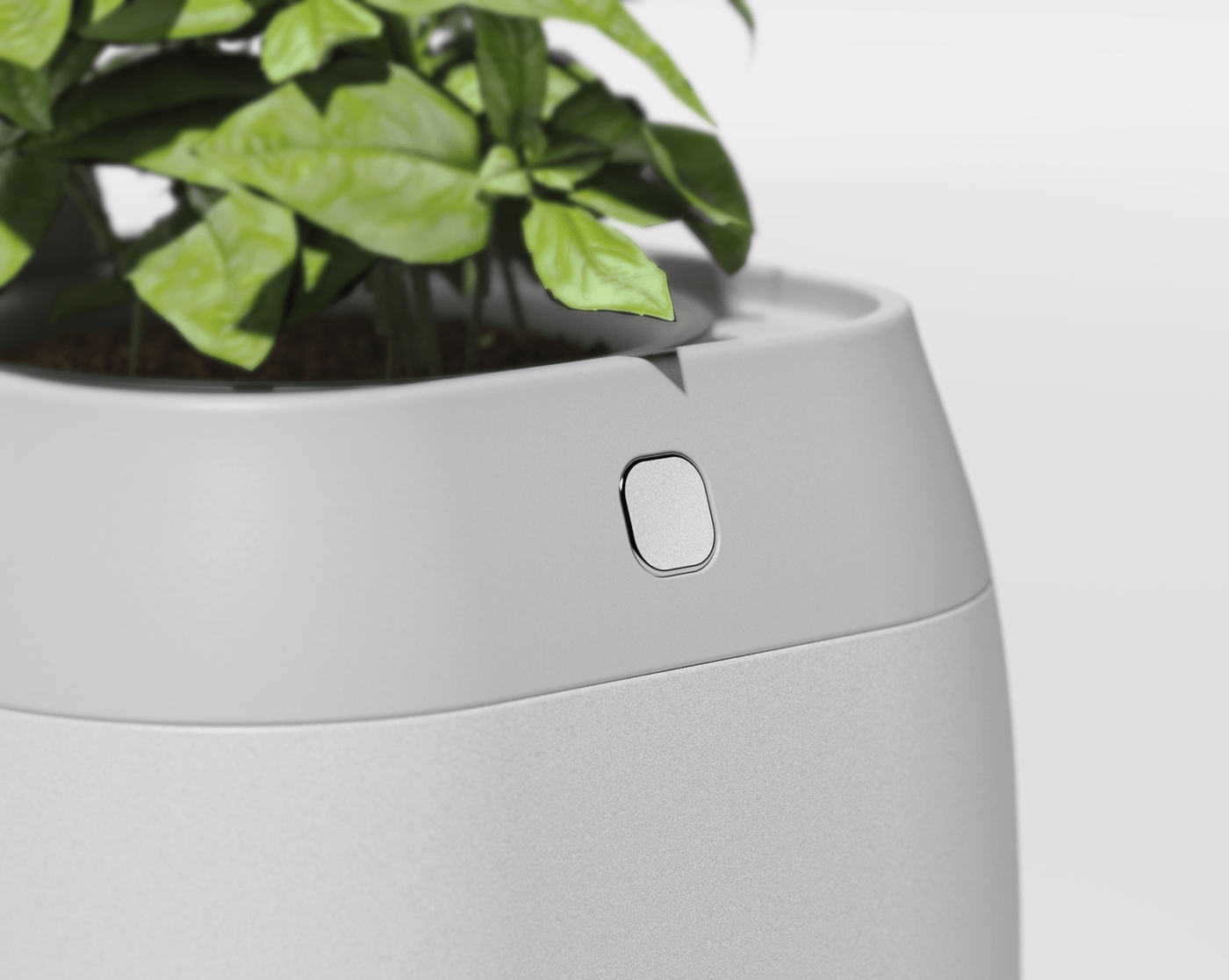 vase，intelligence，medical care，Botany，Dementia，