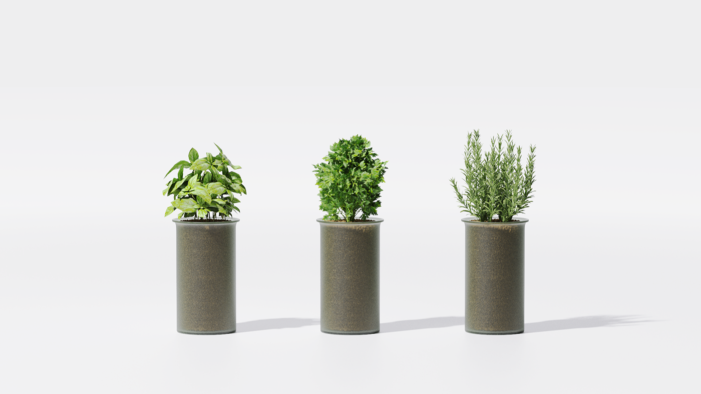 vase，intelligence，medical care，Botany，Dementia，