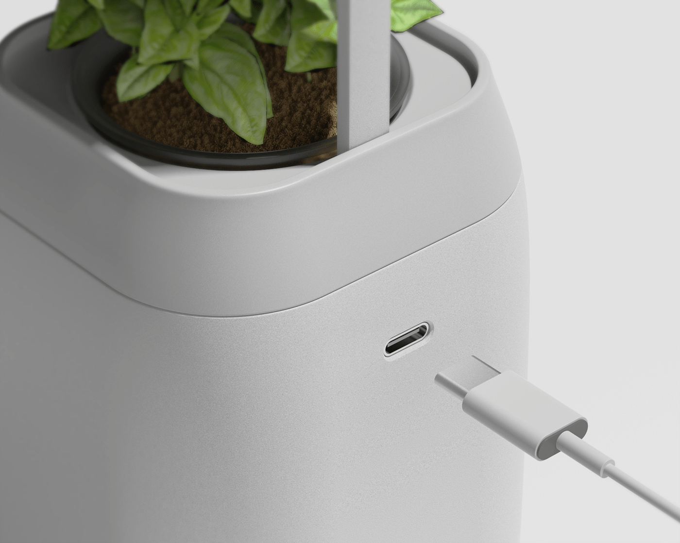 vase，intelligence，medical care，Botany，Dementia，