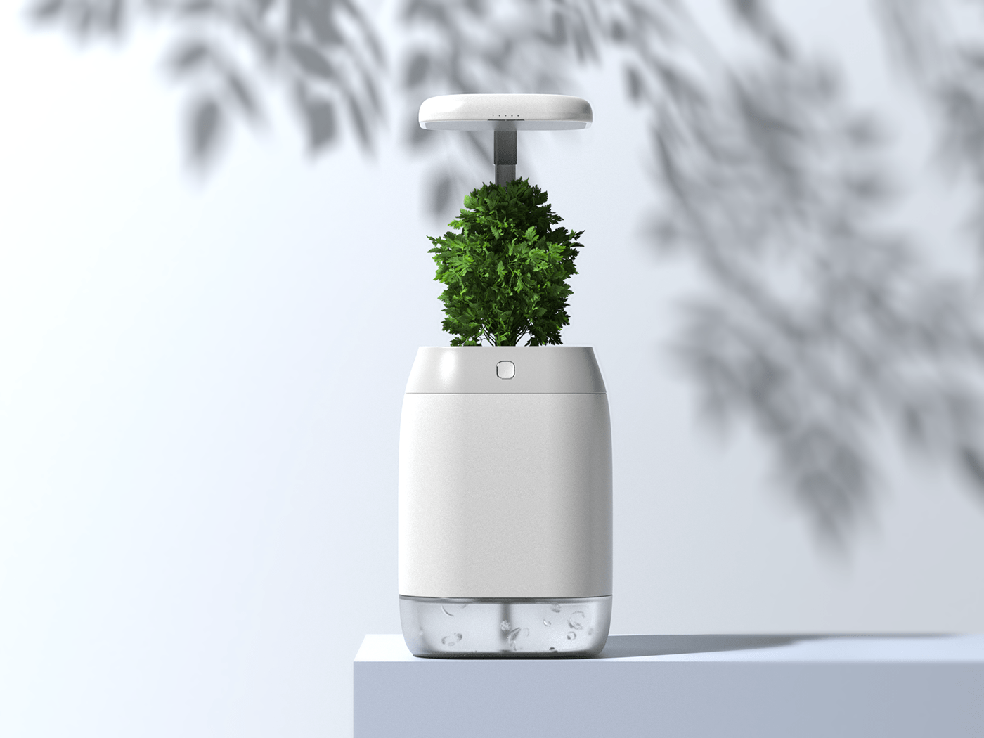 vase，intelligence，medical care，Botany，Dementia，