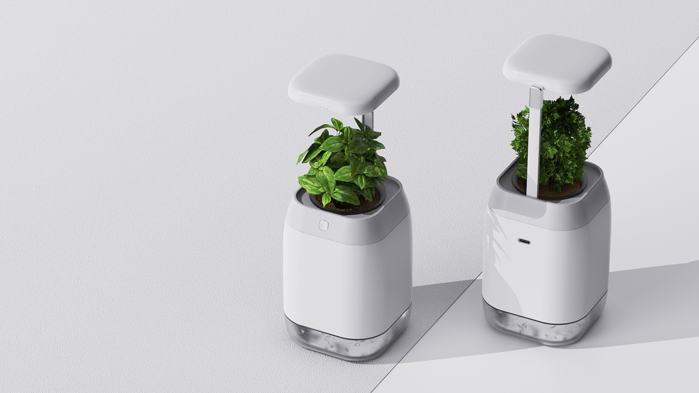 vase，intelligence，medical care，Botany，Dementia，