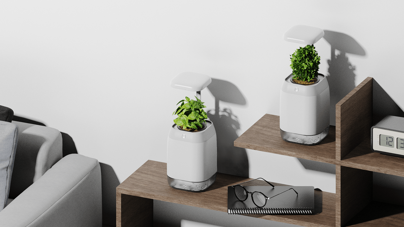 vase，intelligence，medical care，Botany，Dementia，