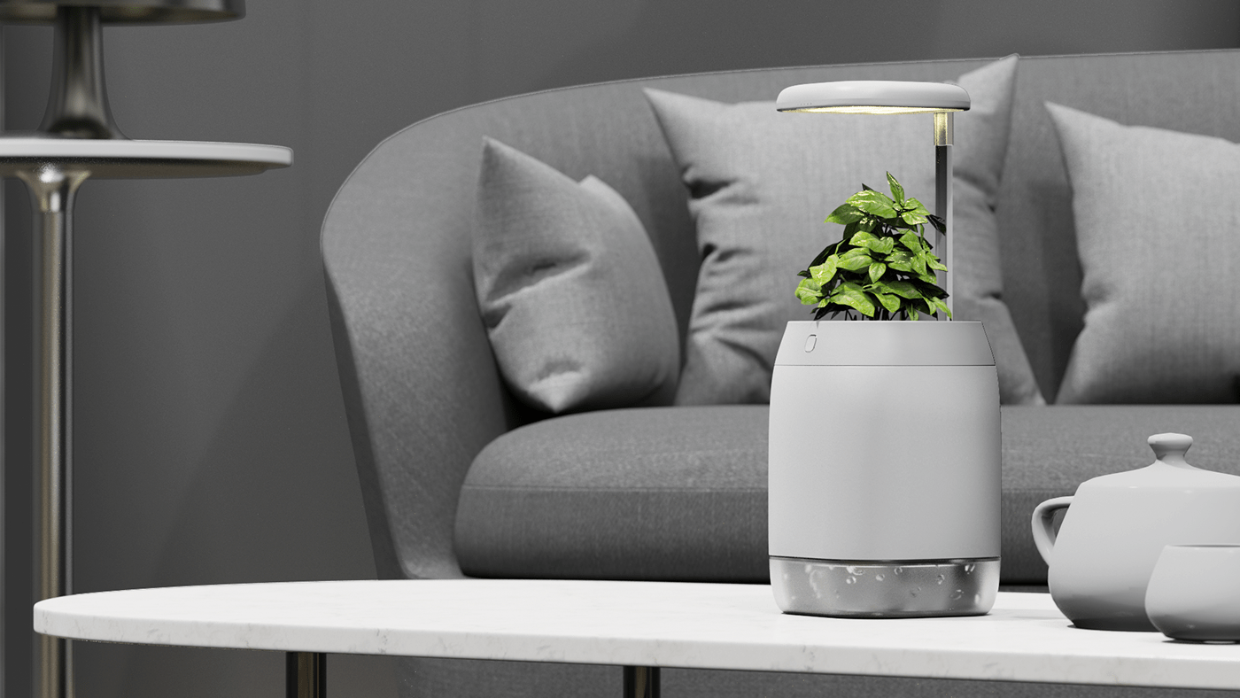 vase，intelligence，medical care，Botany，Dementia，