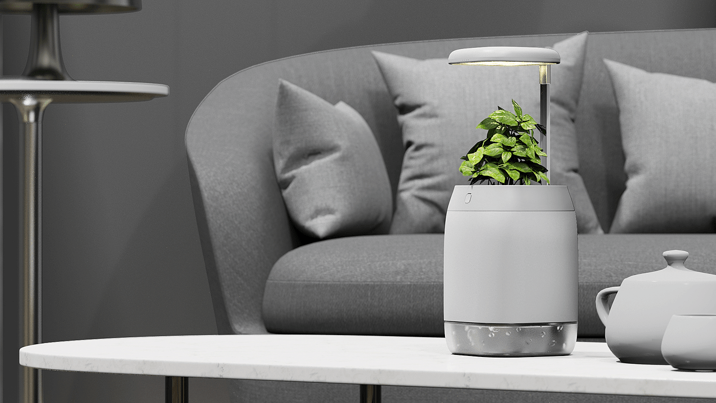 vase，intelligence，medical care，Botany，Dementia，