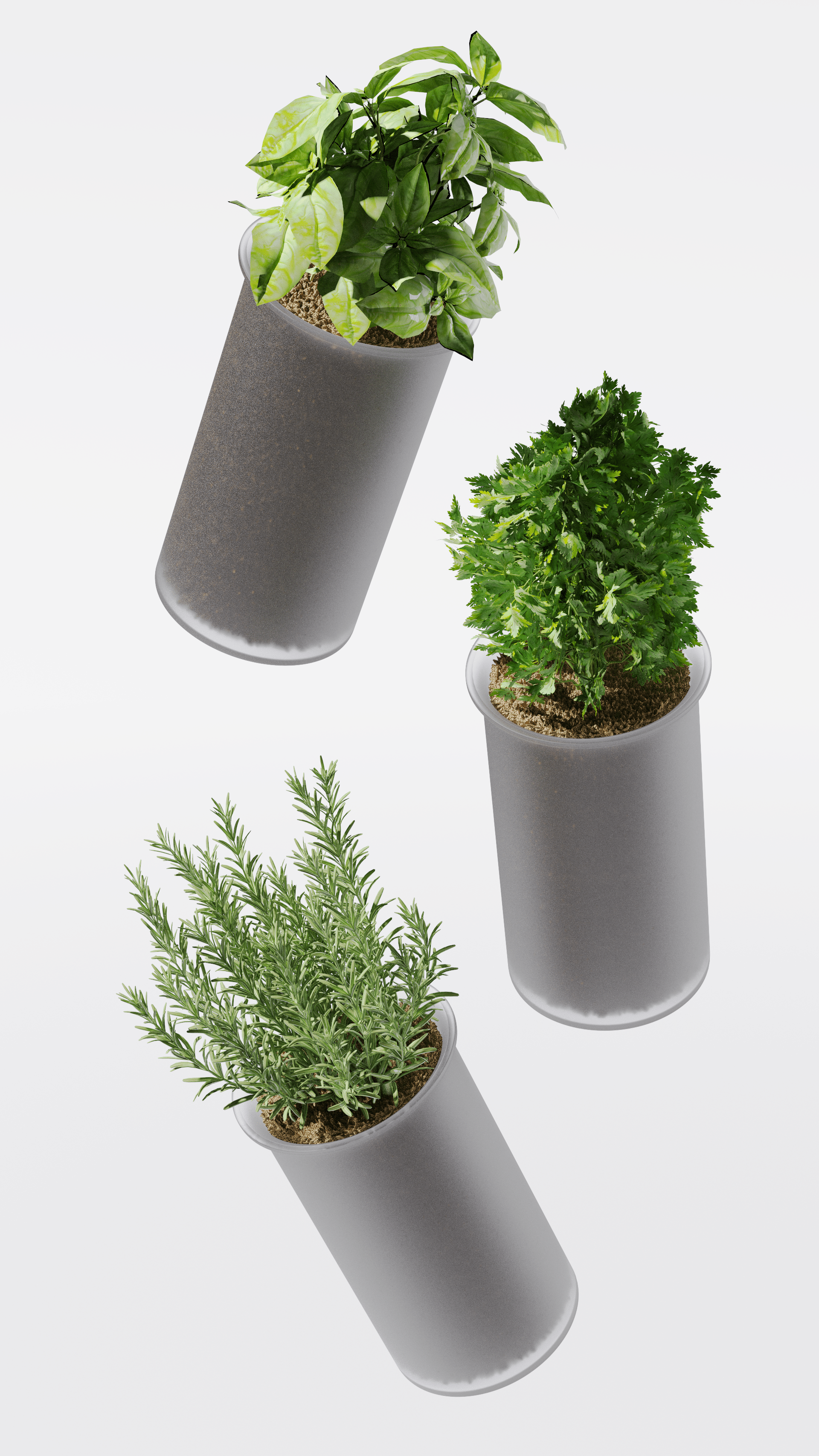 vase，intelligence，medical care，Botany，Dementia，