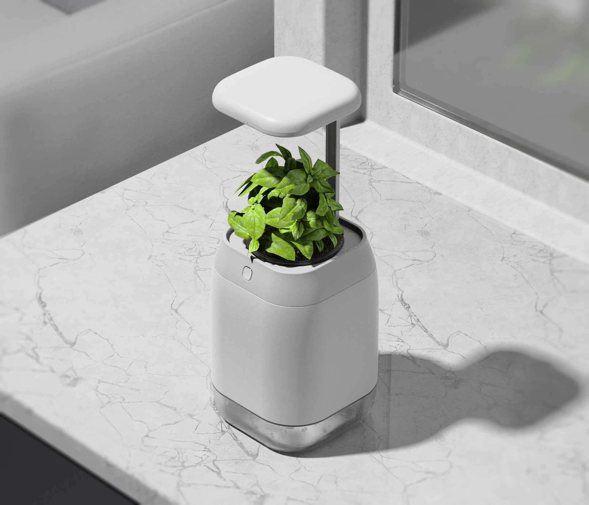 vase，intelligence，medical care，Botany，Dementia，