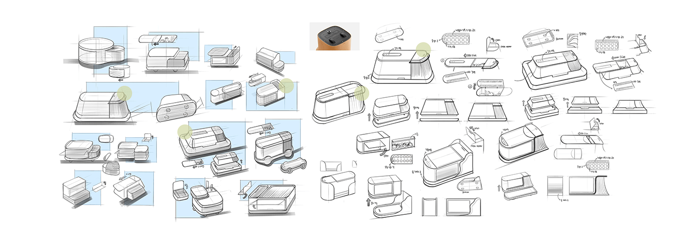 constant temperature，plant，OASIS，interactive，