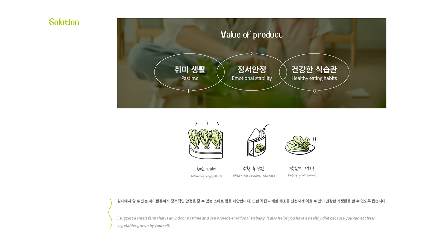 constant temperature，plant，OASIS，interactive，