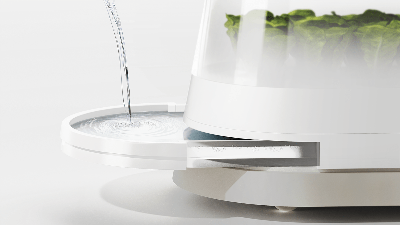 constant temperature，plant，OASIS，interactive，