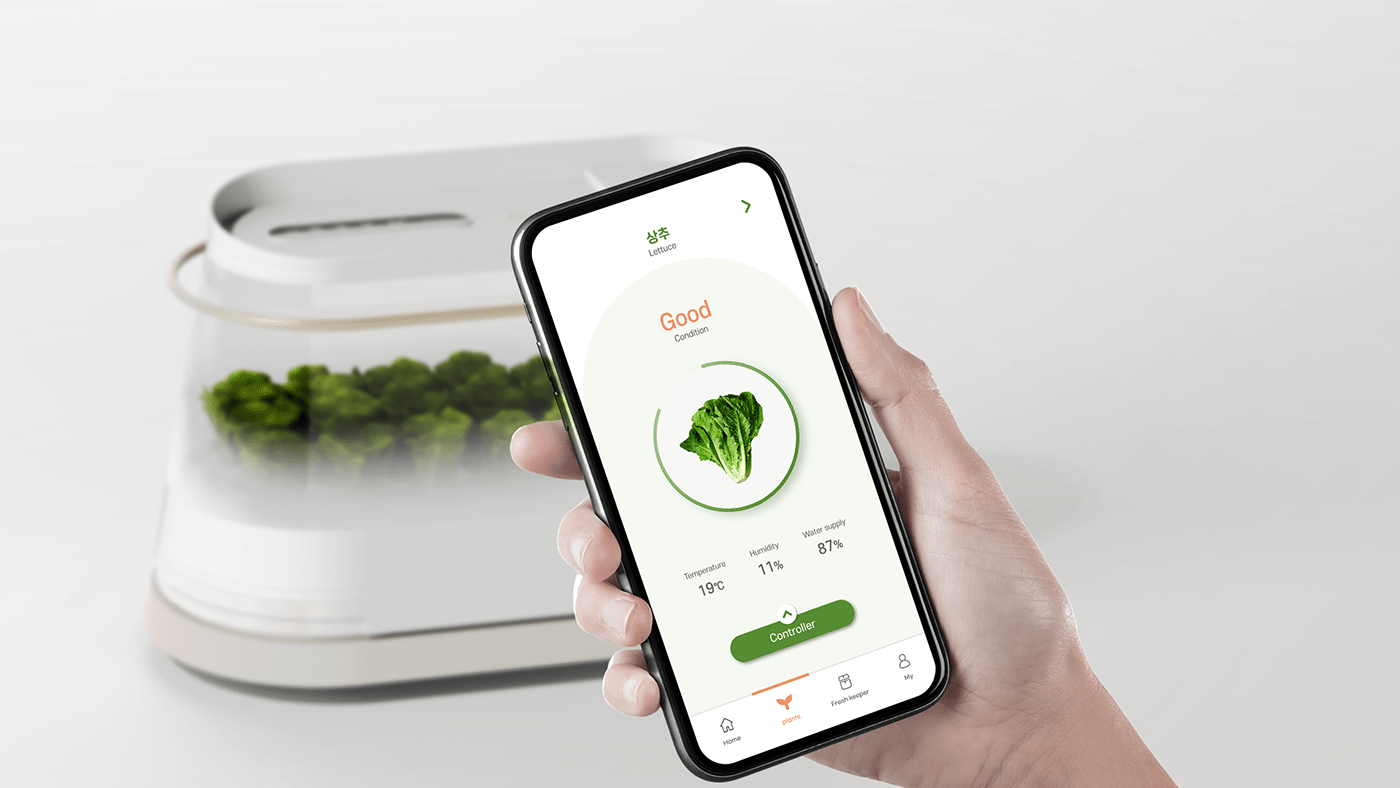 constant temperature，plant，OASIS，interactive，