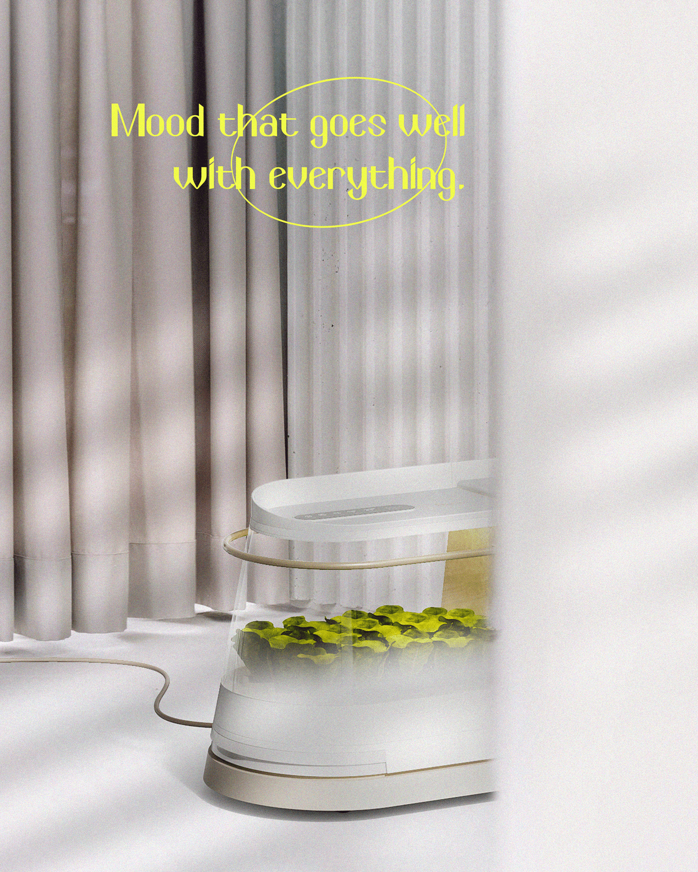 constant temperature，plant，OASIS，interactive，