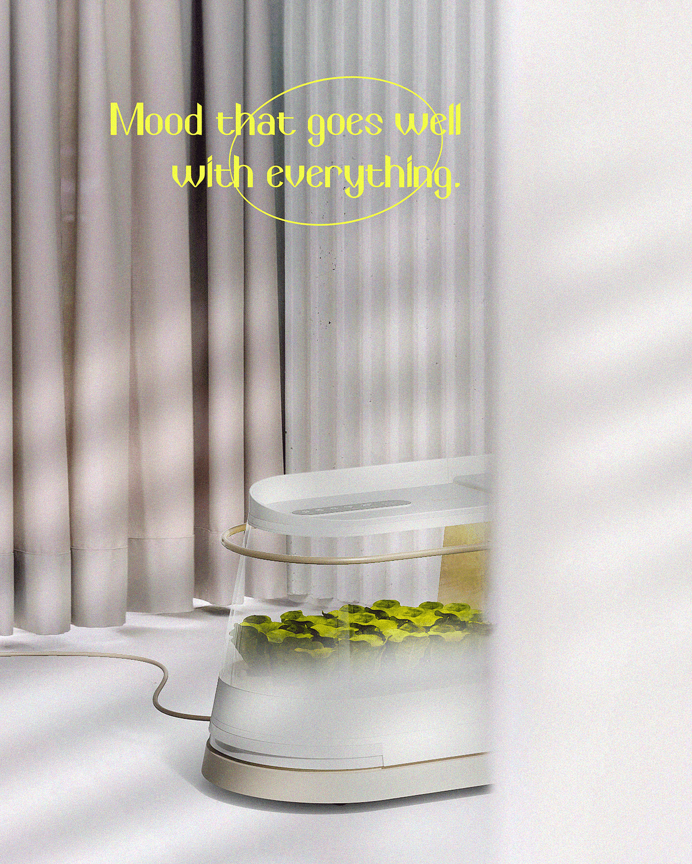 constant temperature，plant，OASIS，interactive，