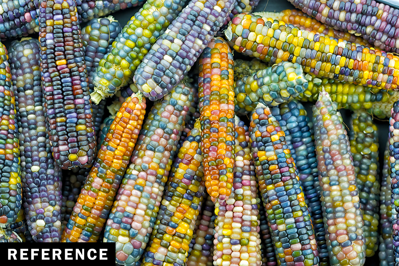 Rainbow corn，Glass，gemstone，modeling，Render，