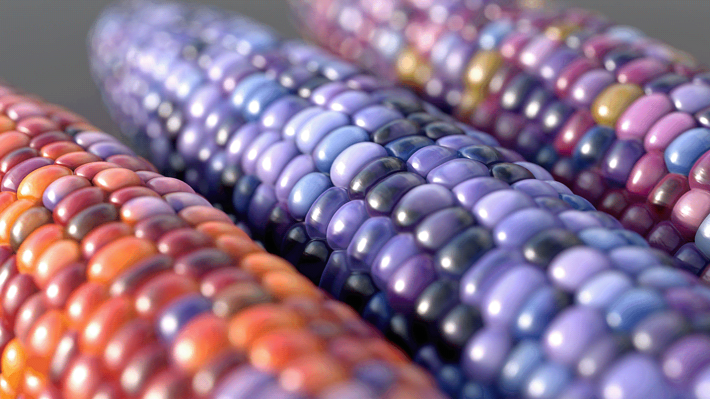 彩虹玉米，玻璃，宝石，建模，渲染，