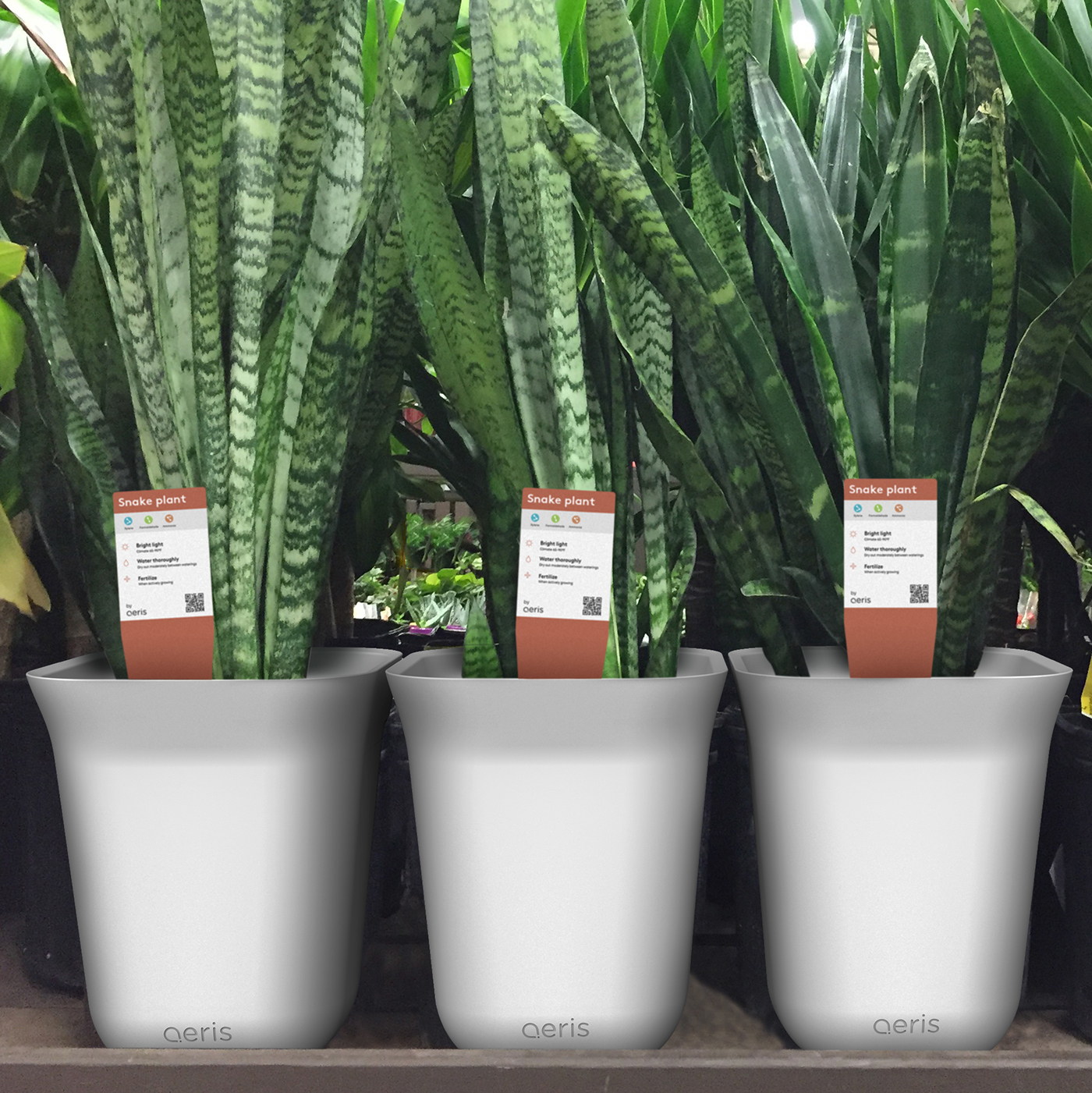 air cleaner，purification system，Smart appliances，Aeris，Green plants，App application，purifier，monitor，