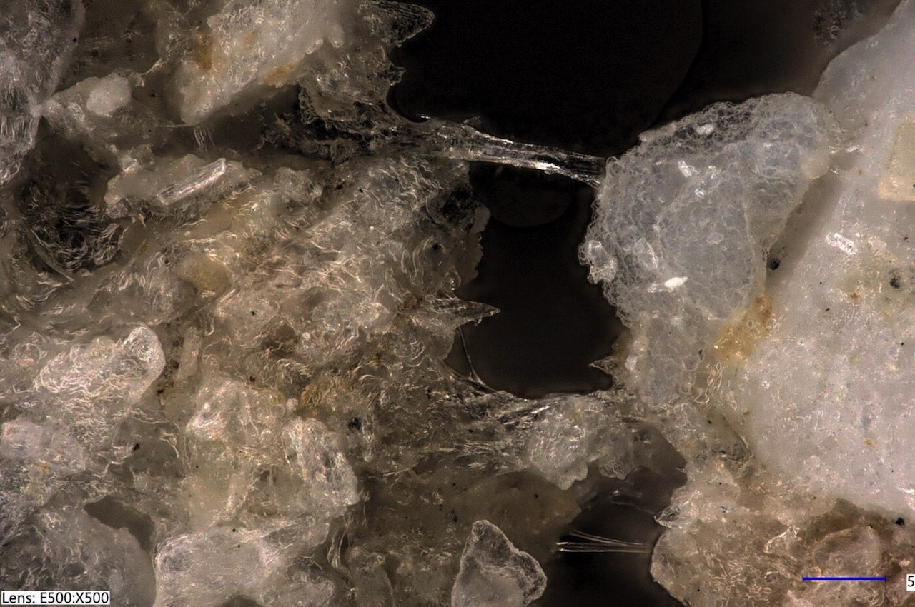 Sunglasses，Mirror frame，future，Sustainable design，Organic materials，