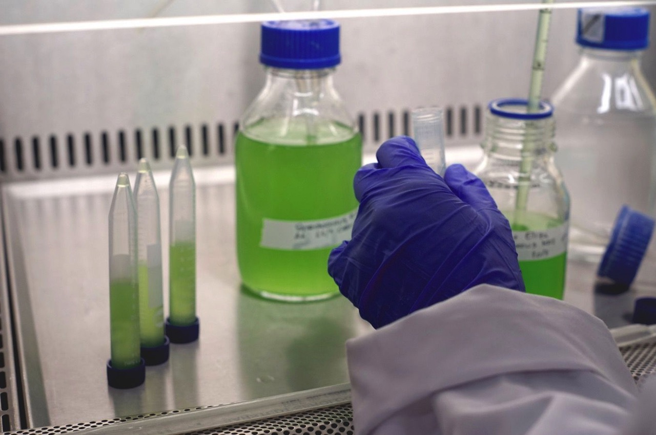 Sunglasses，Mirror frame，future，Sustainable design，Organic materials，