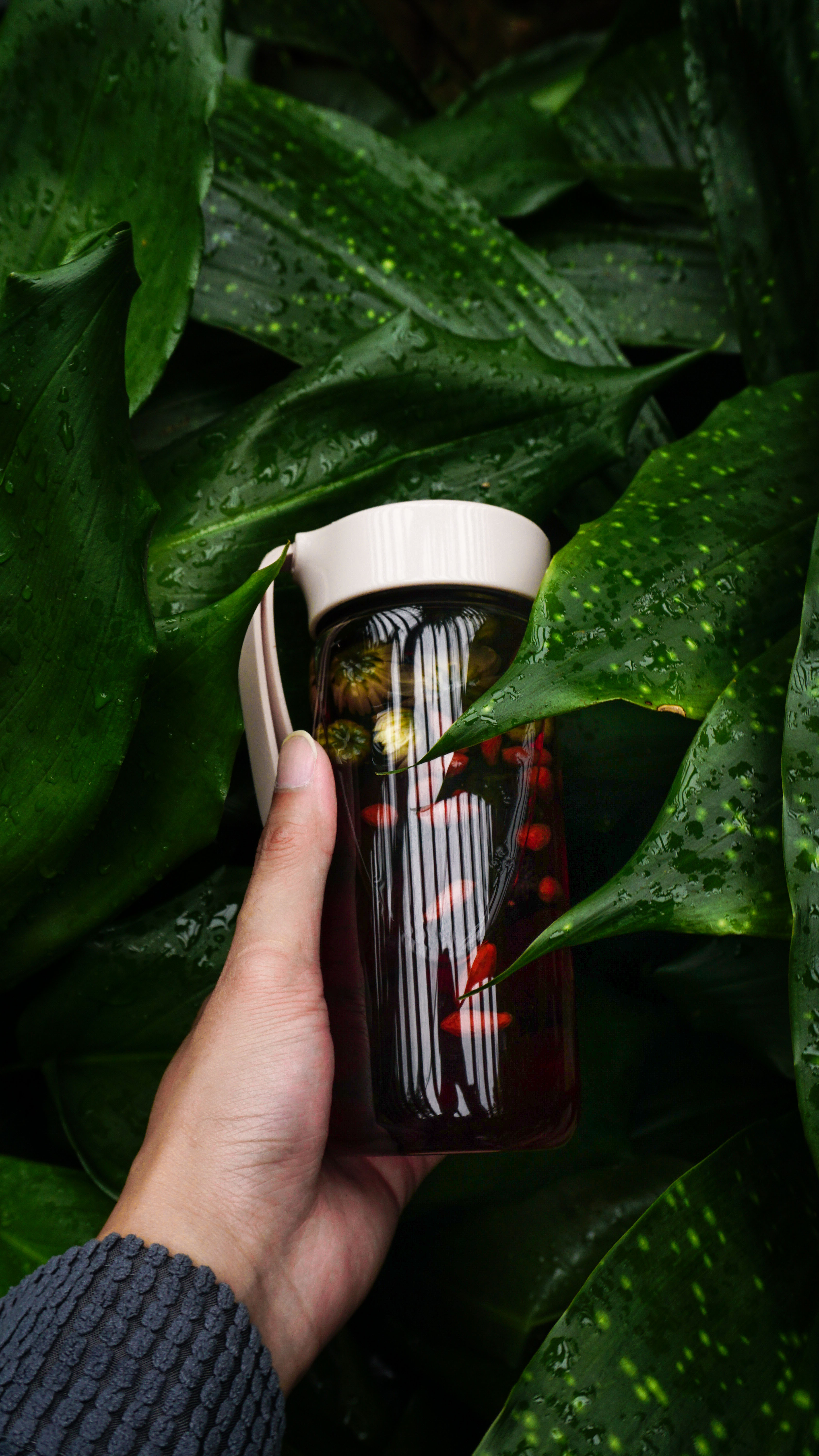 Photography，Water cup，shot，