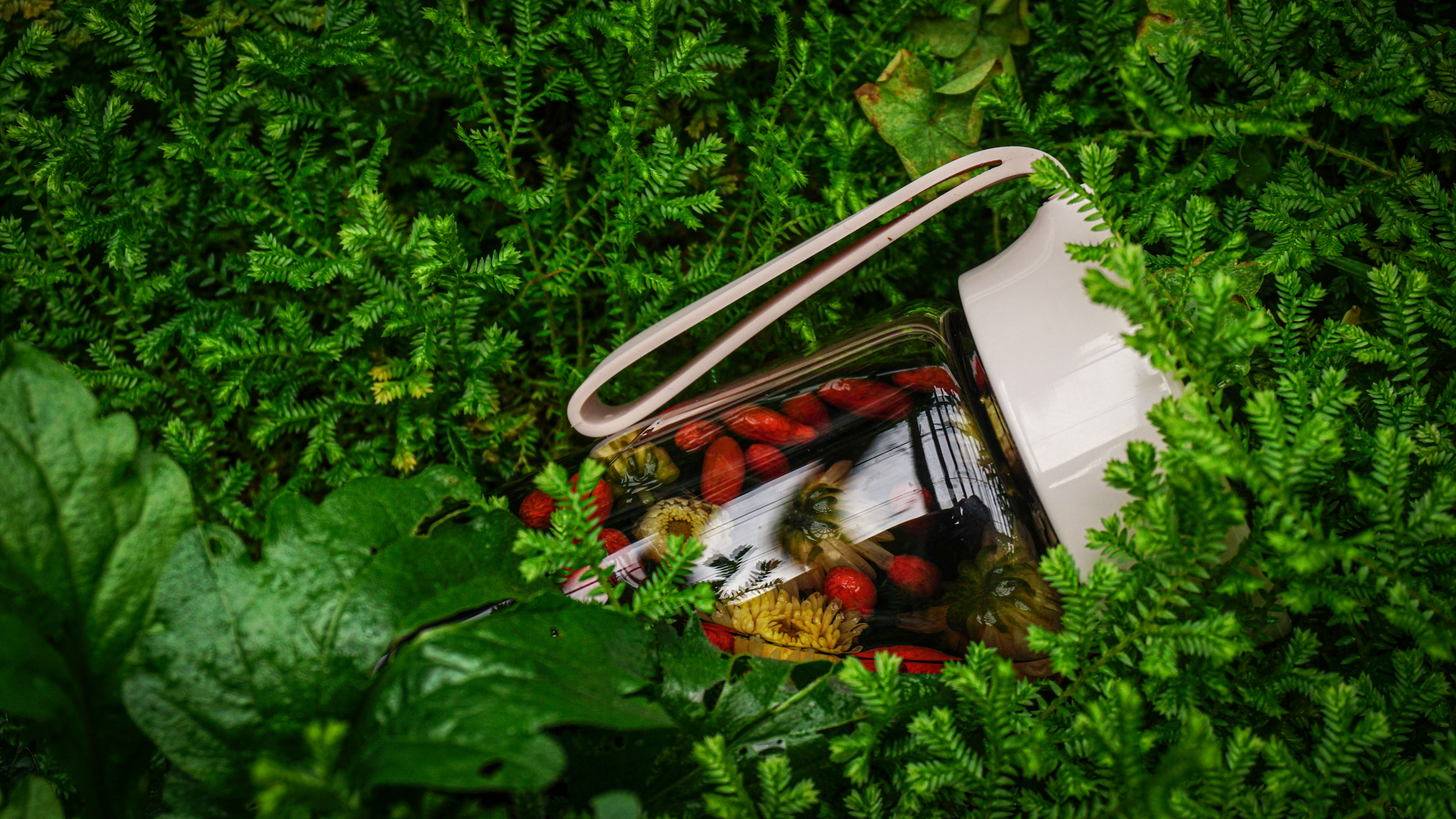 Photography，Water cup，shot，