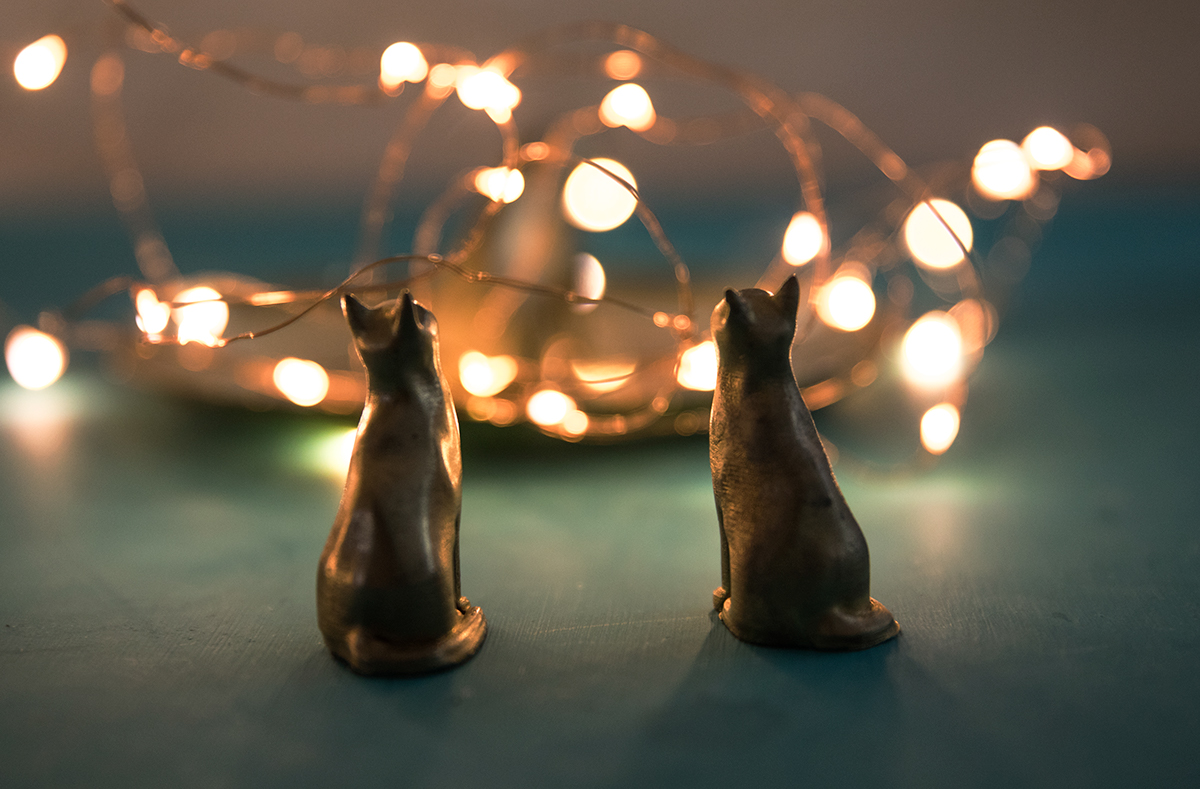 cat，Aromatherapy，Arts and Crafts，Jaejin Lee，