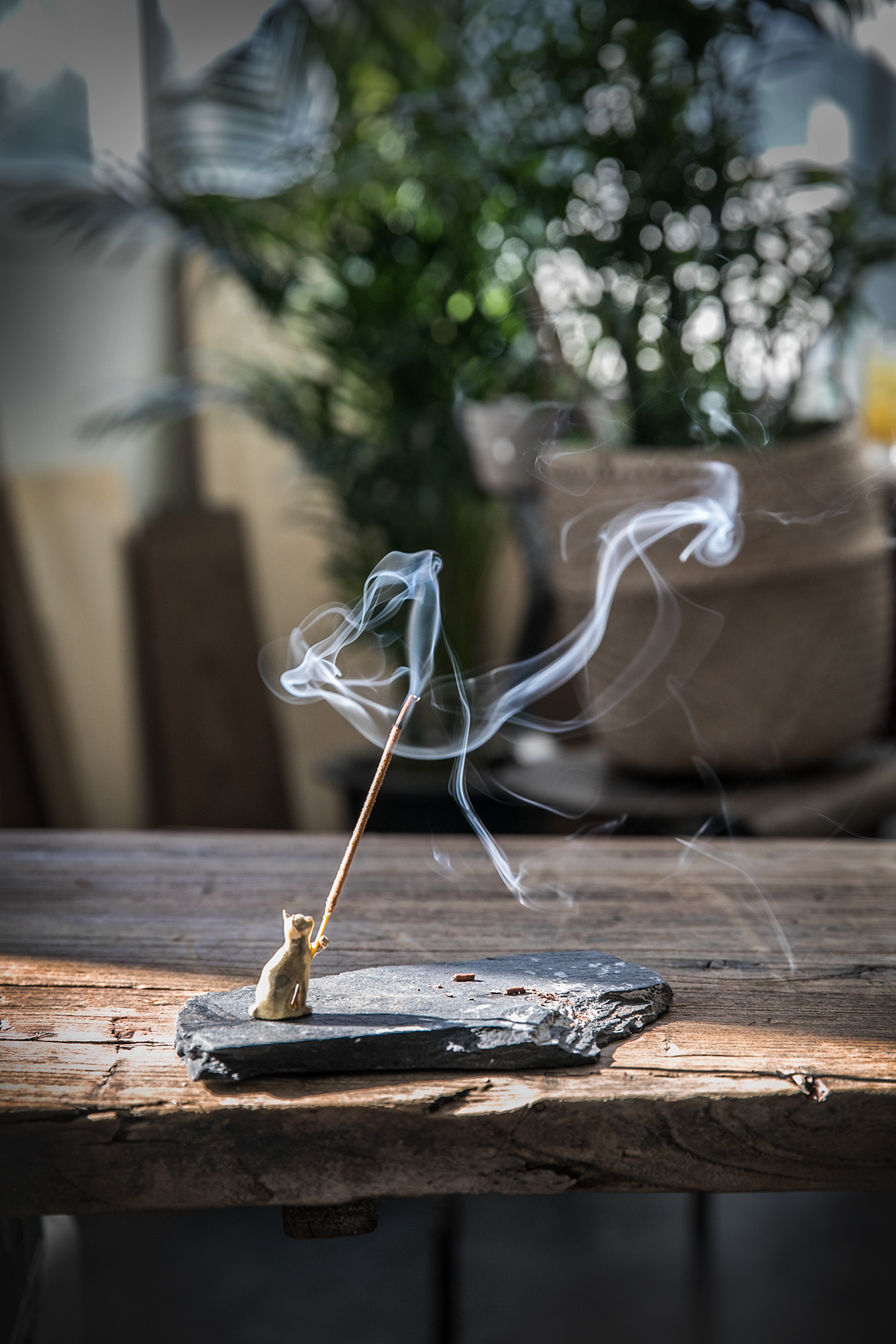 cat，Aromatherapy，Arts and Crafts，Jaejin Lee，