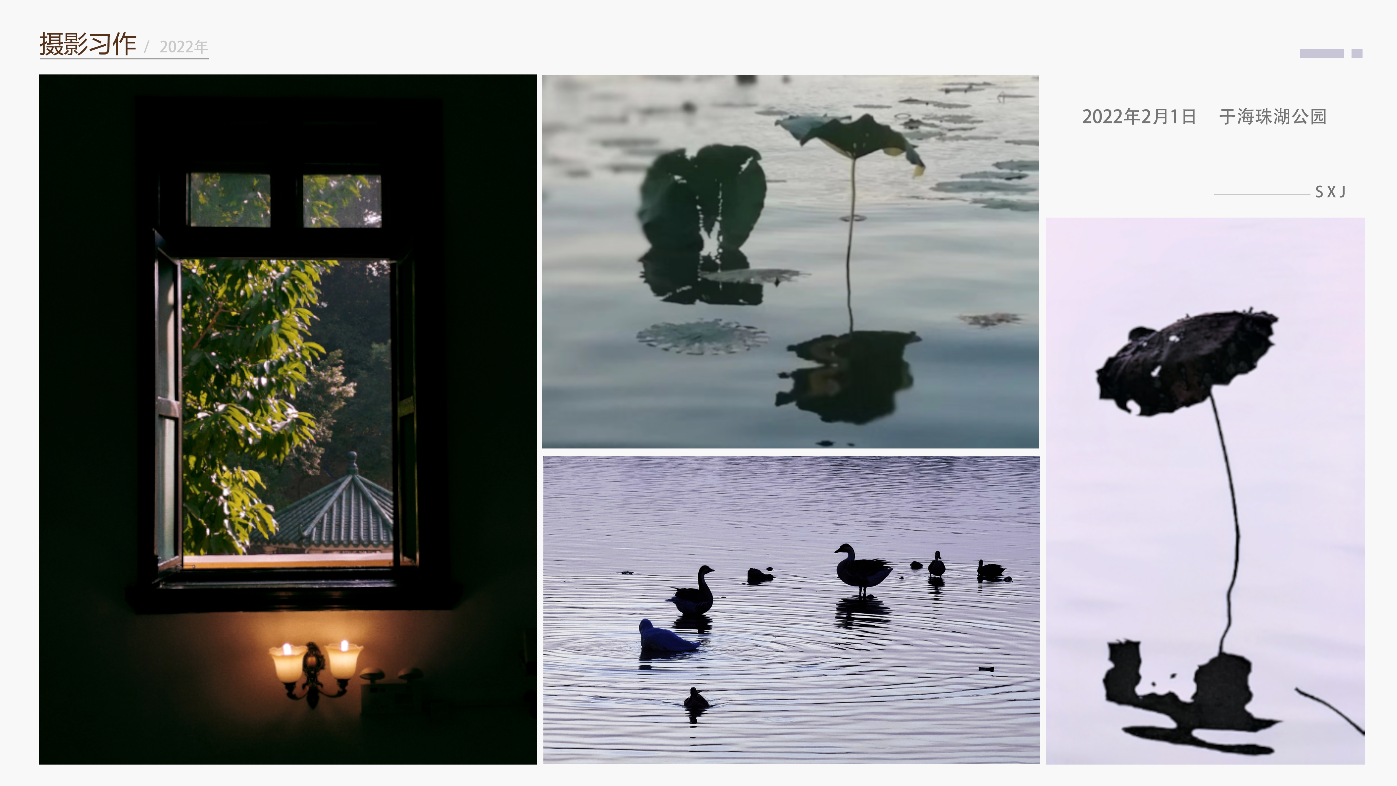 End page of portfolio，Mobile phone photography，daily life，Visit the park，Record the beauty around you，Discover beauty，Aesthetic improvement，