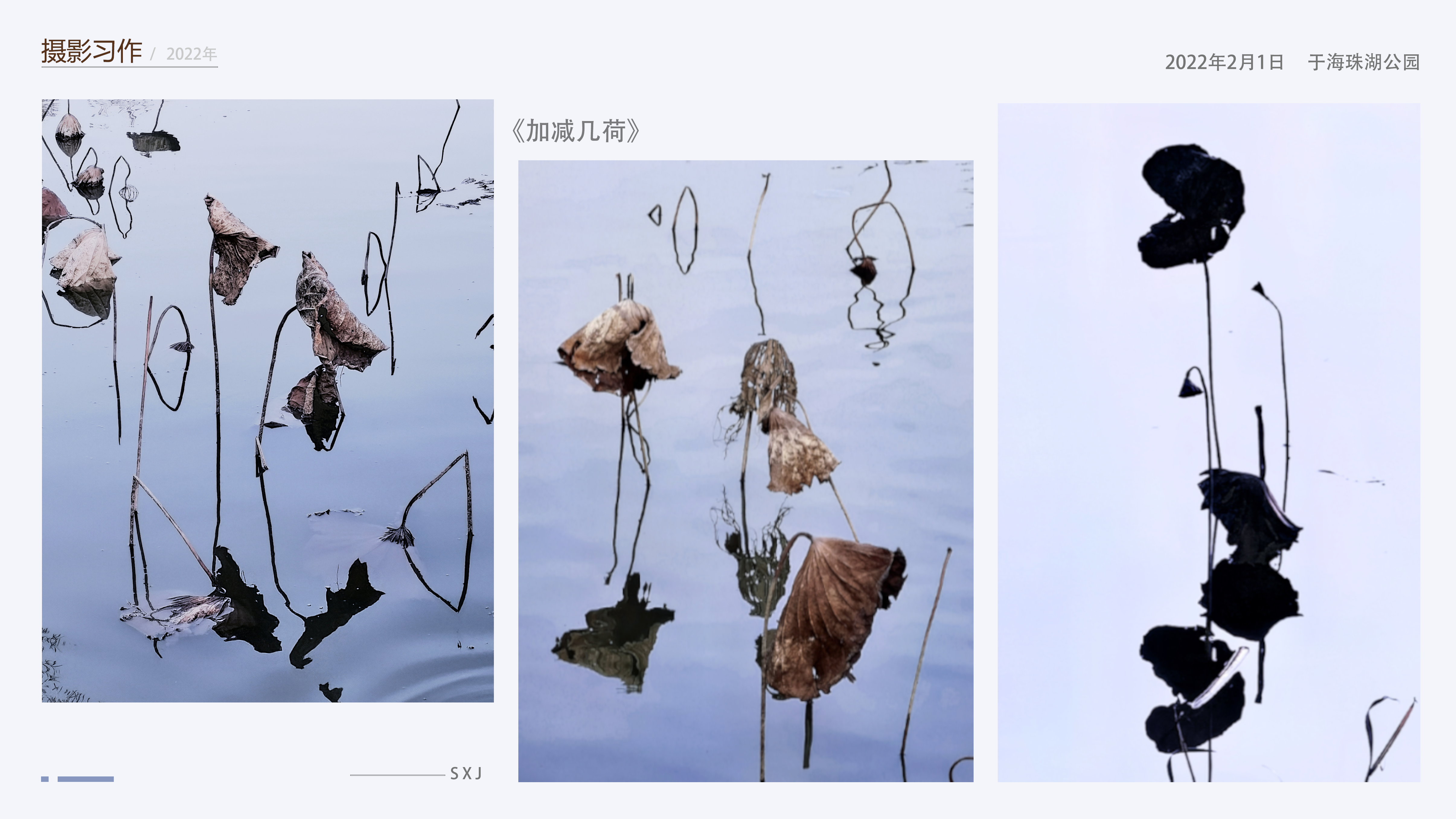 End page of portfolio，Mobile phone photography，daily life，Visit the park，Record the beauty around you，Discover beauty，Aesthetic improvement，