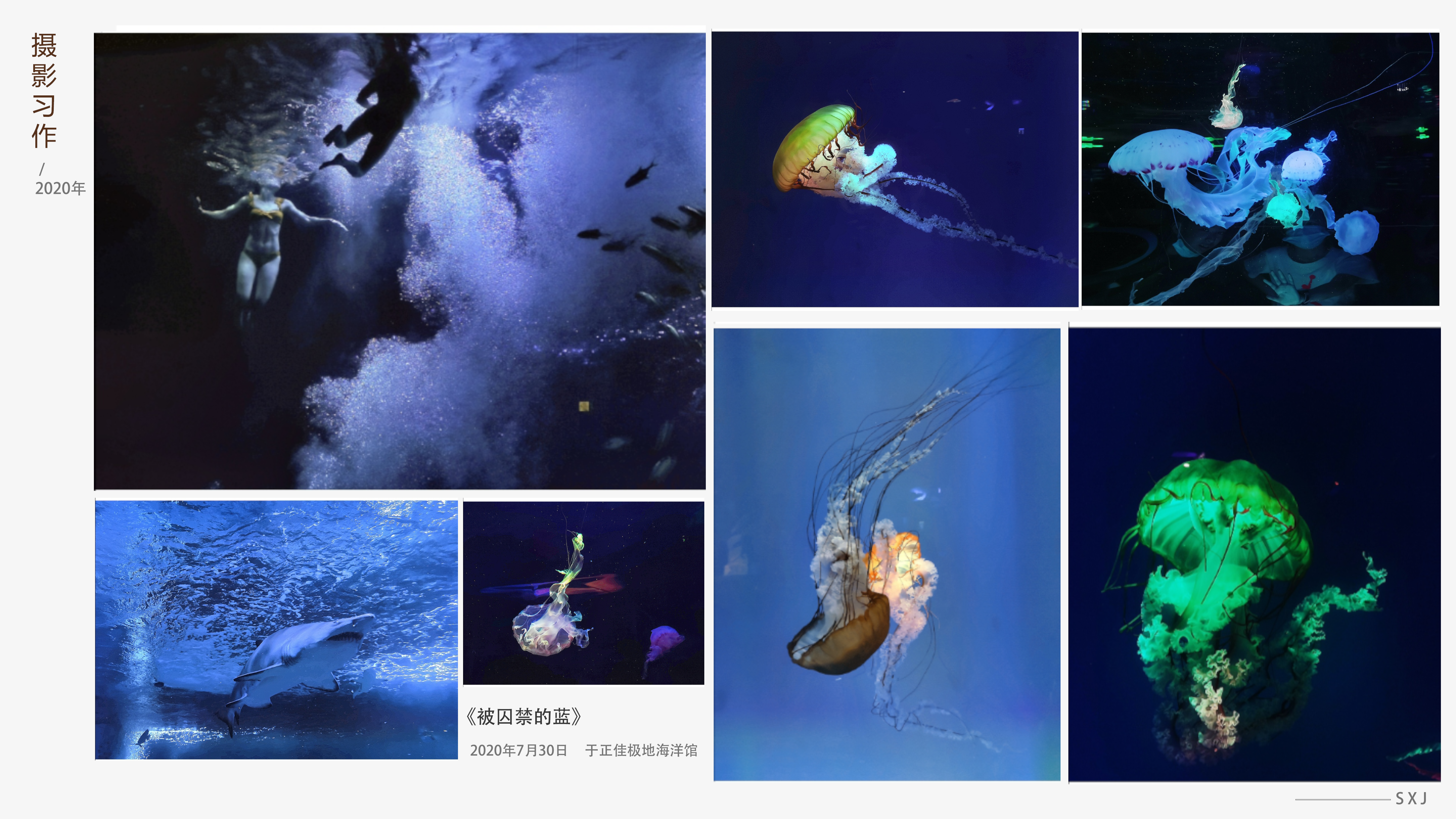 End page of portfolio，Mobile phone photography，daily life，Visit the park，Record the beauty around you，Discover beauty，Aesthetic improvement，