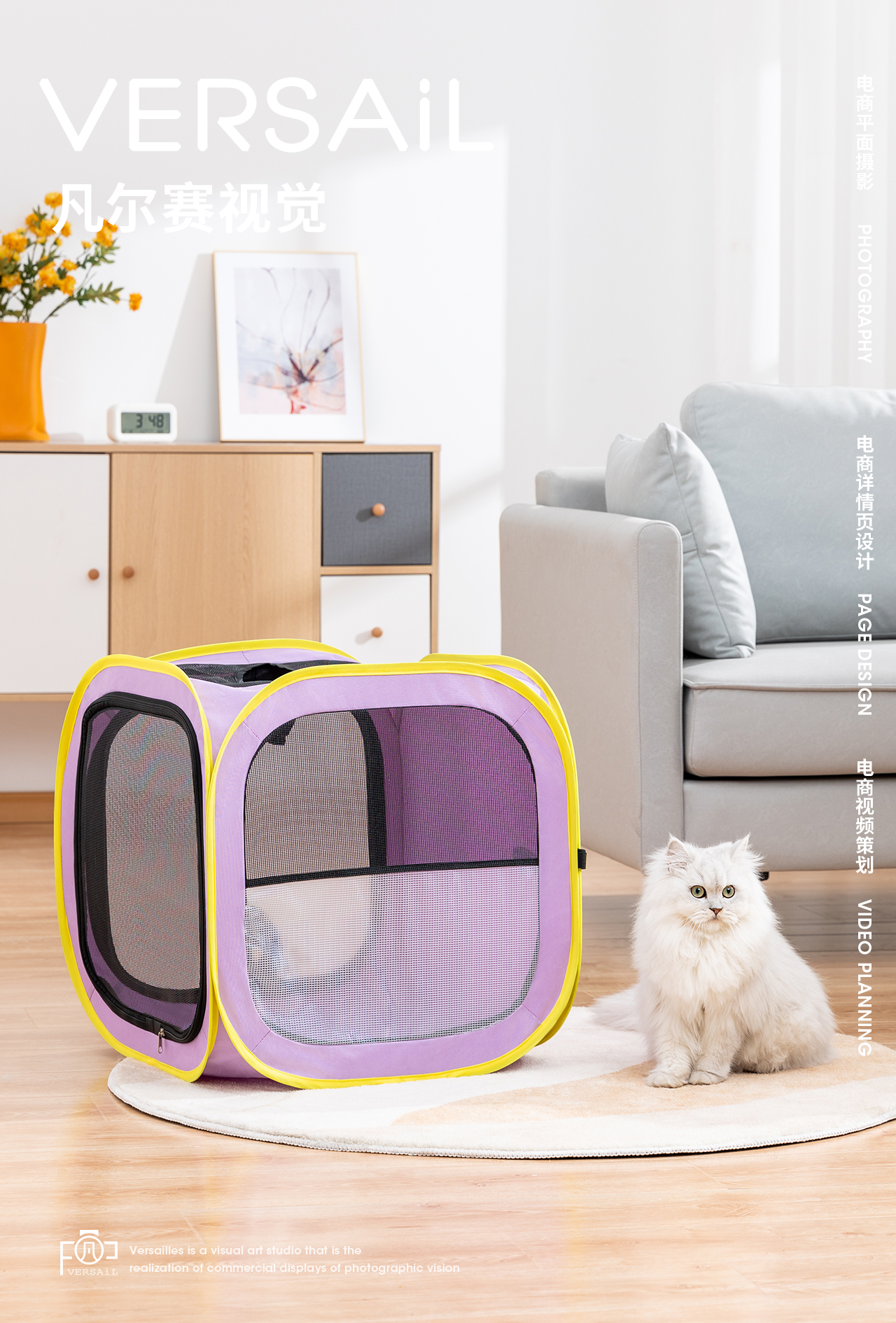 Pets，Pet drying box，