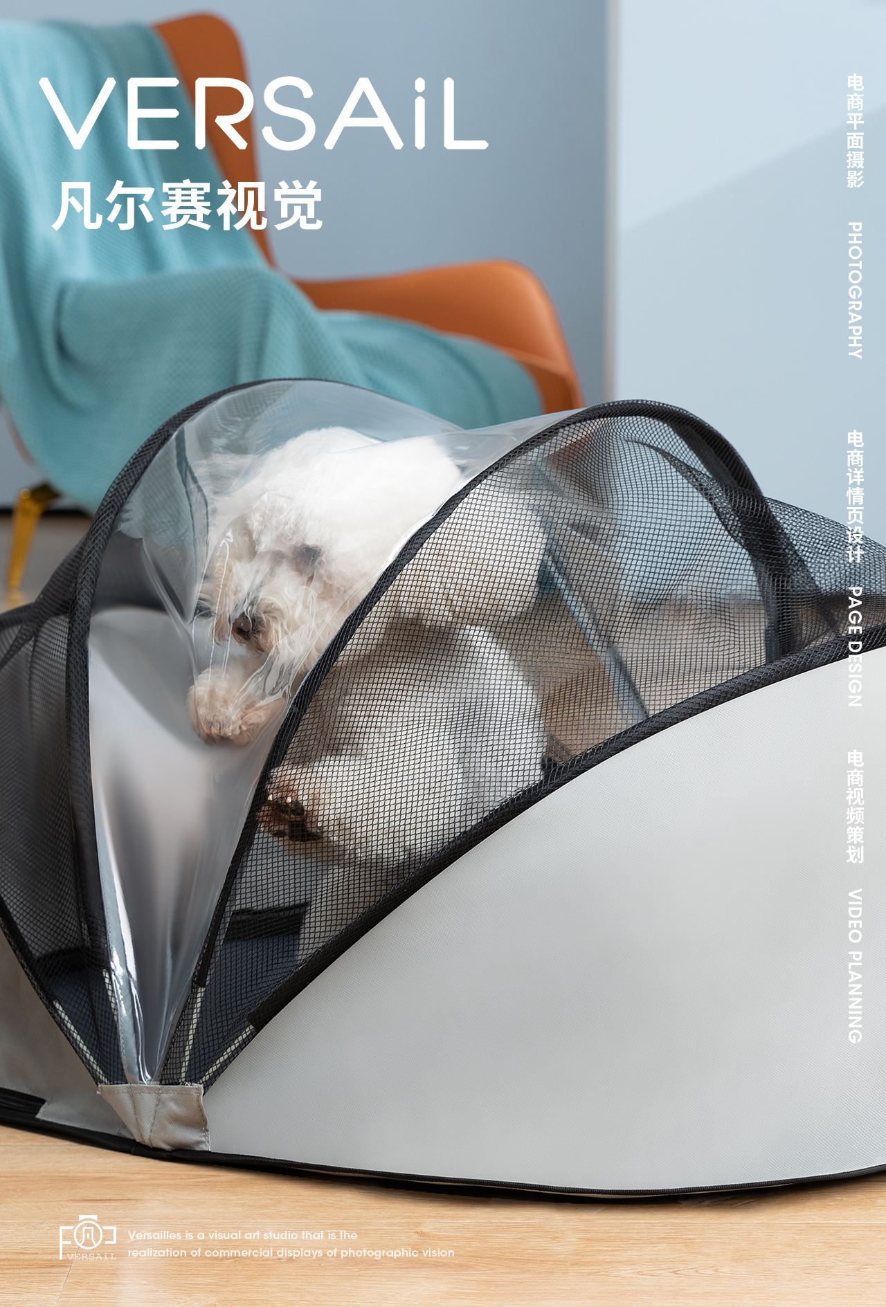 Pets，Pet drying box，