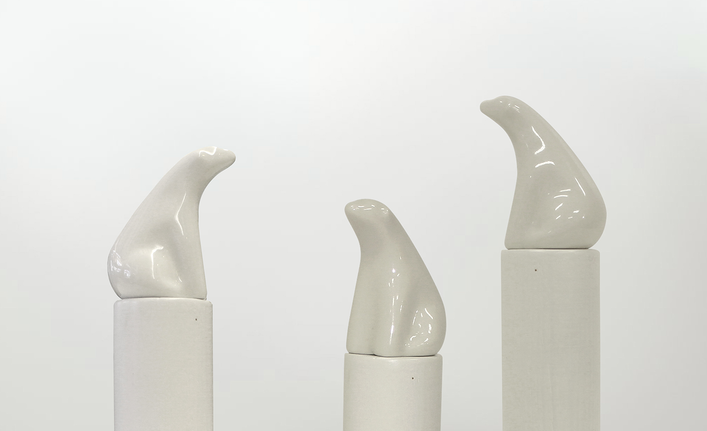 Bracket，environment protection，Polly，